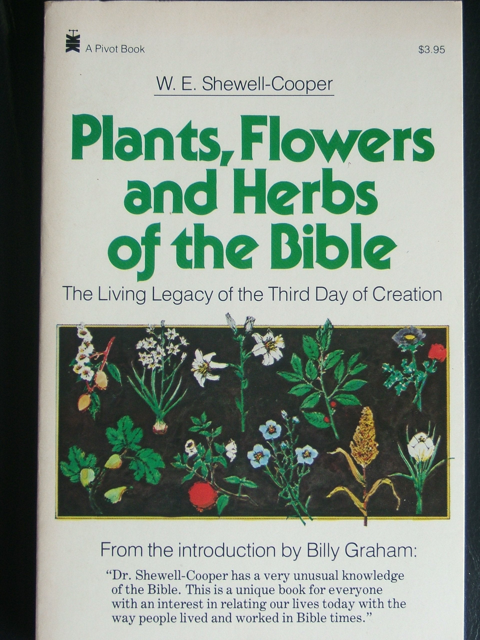 Plants, Flowers, and Herbs of the Bible: The Living Legacy of the Third Day of Creation,New