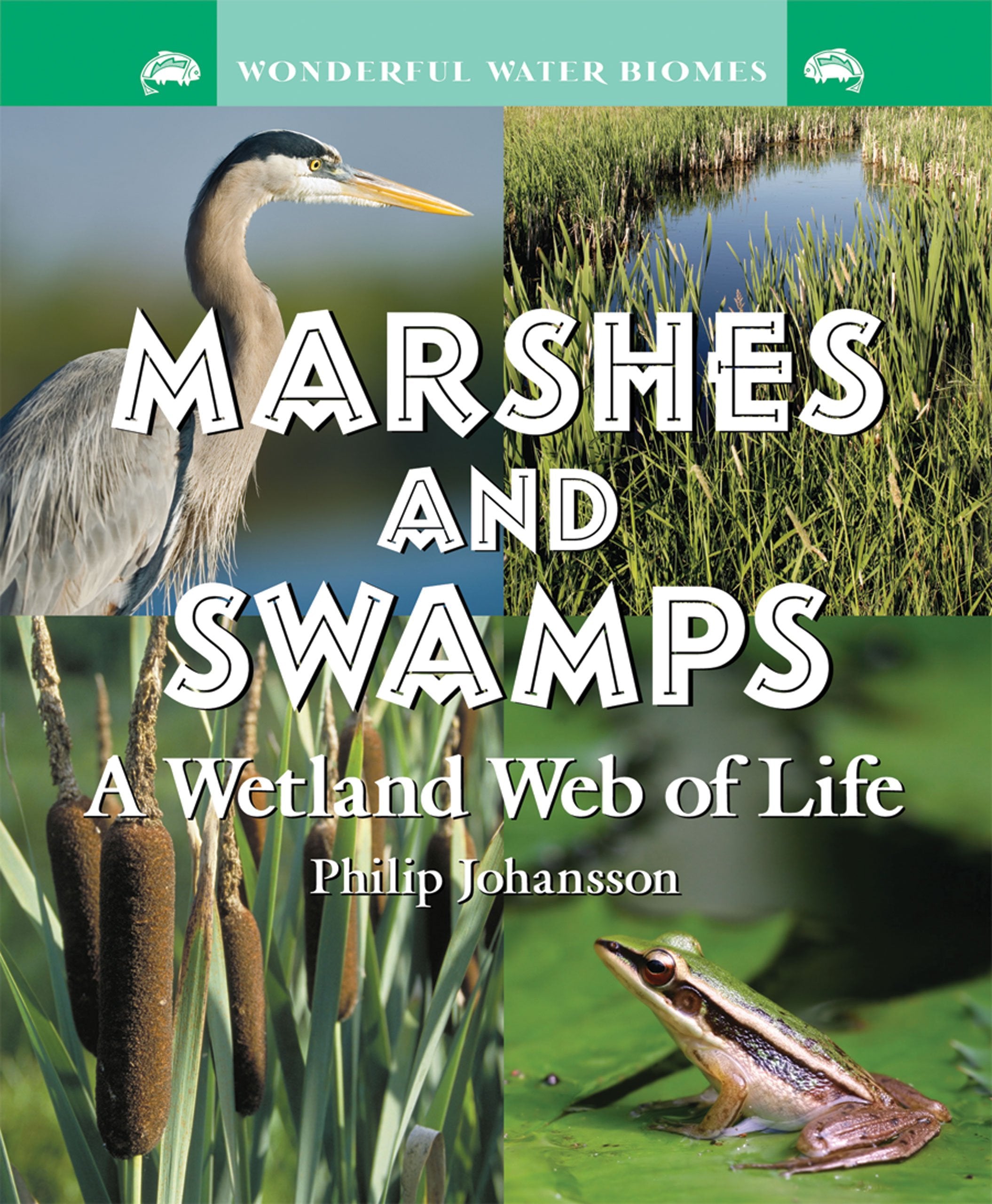 Marshes and Swamps: A Wetland Web of Life (Wonderful Water Biomes),Used