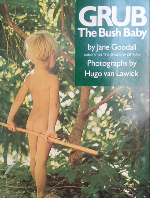 Grub, the Bush Baby