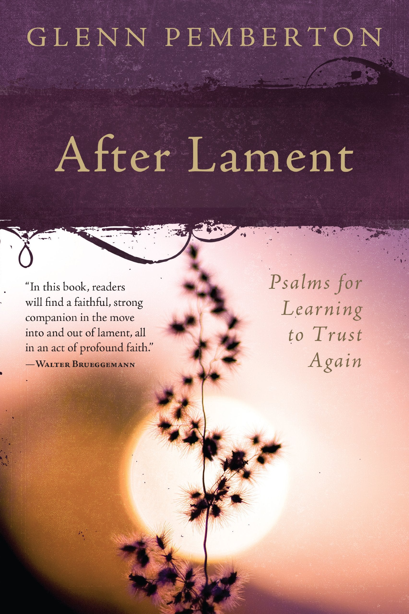 After Lament: Psalms for Learning to Trust Again,Used