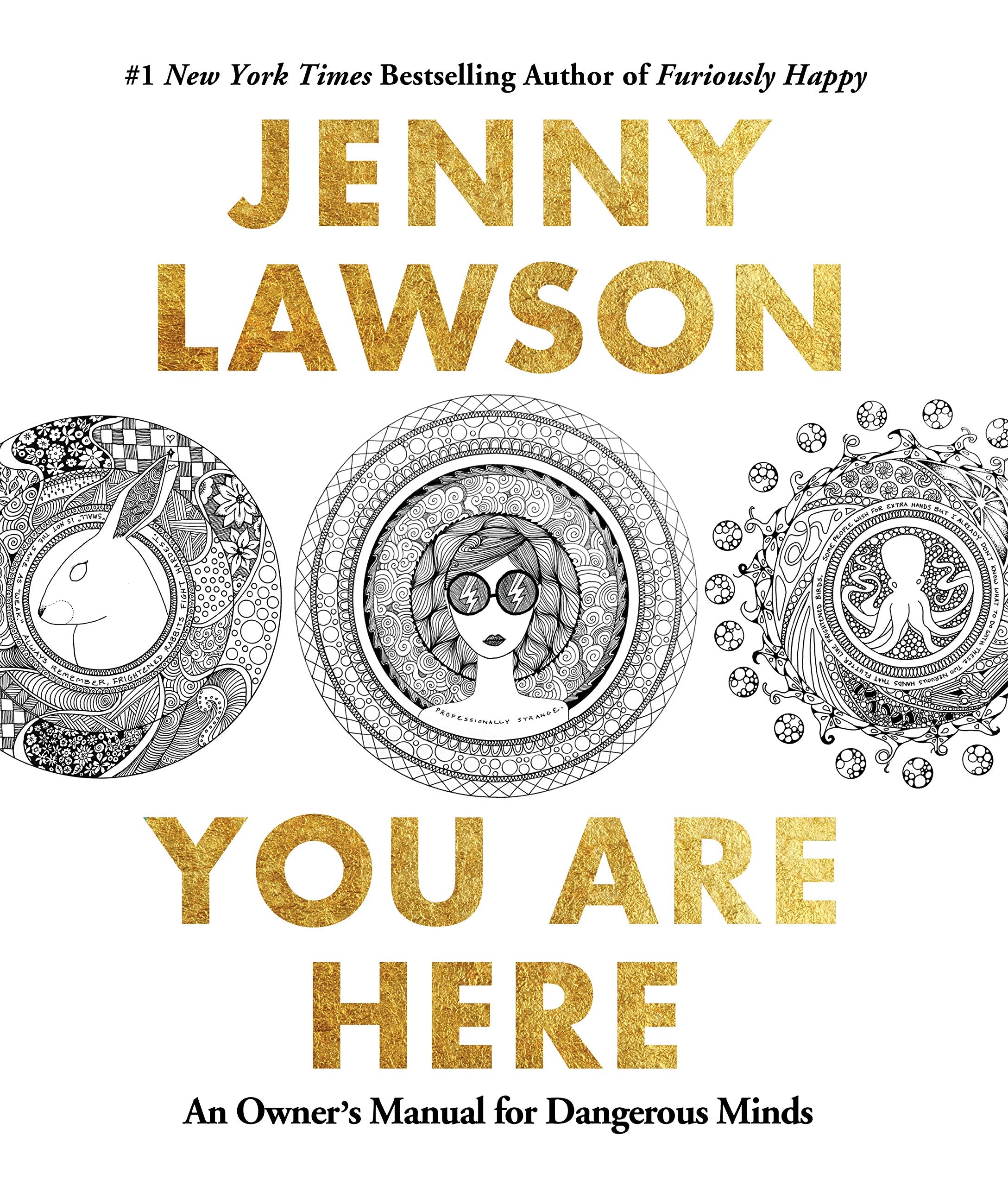 You Are Here: An Owner's Manual for Dangerous Minds,Used