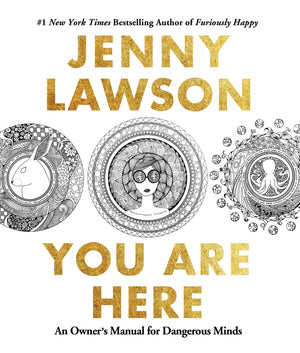 You Are Here: An Owner's Manual for Dangerous Minds,Used