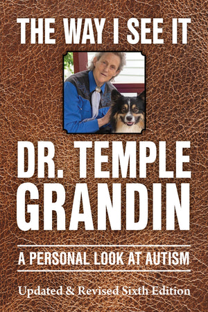 The Way I See It: A Personal Look At Autism