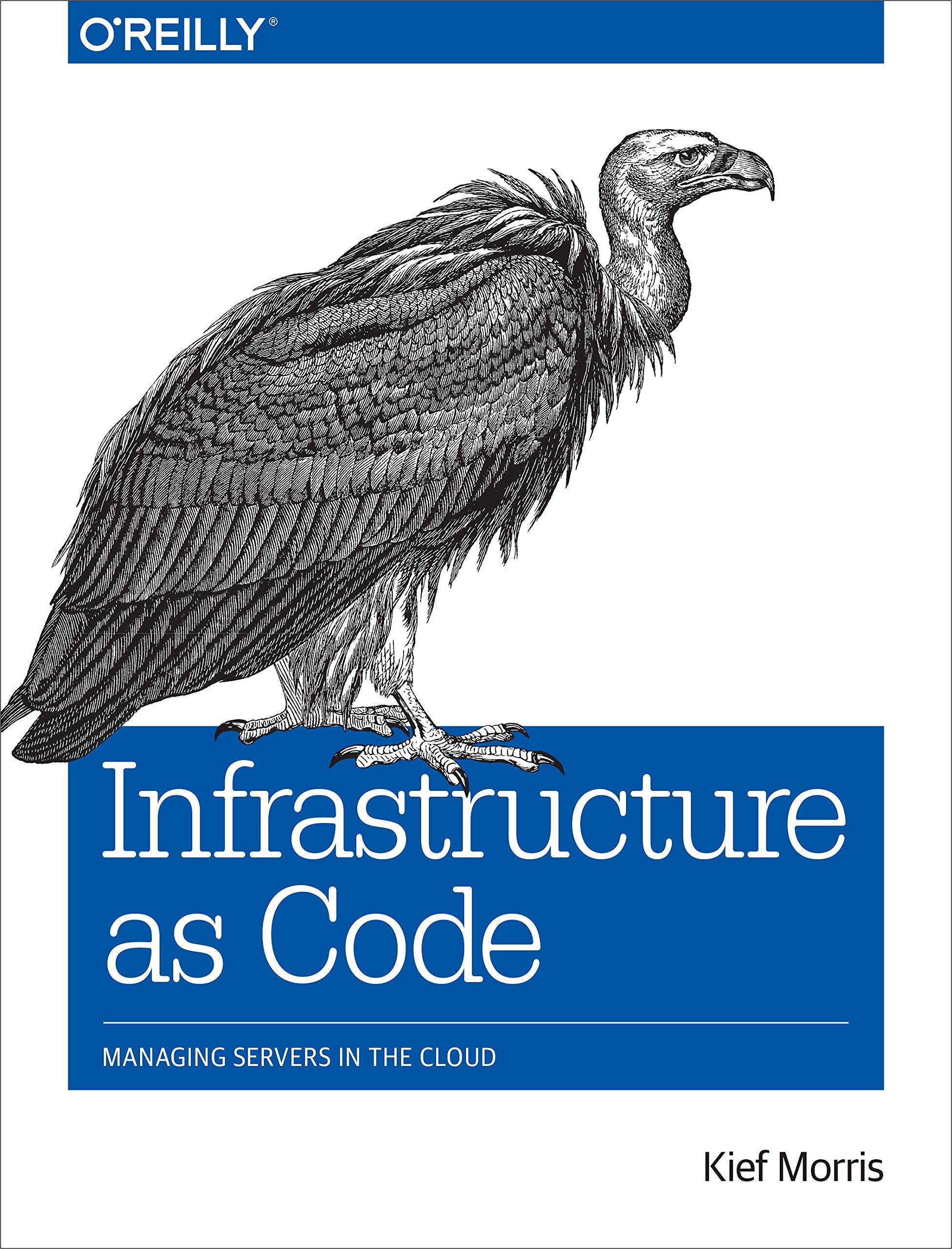 Infrastructure As Code: Managing Servers in the Cloud,Used