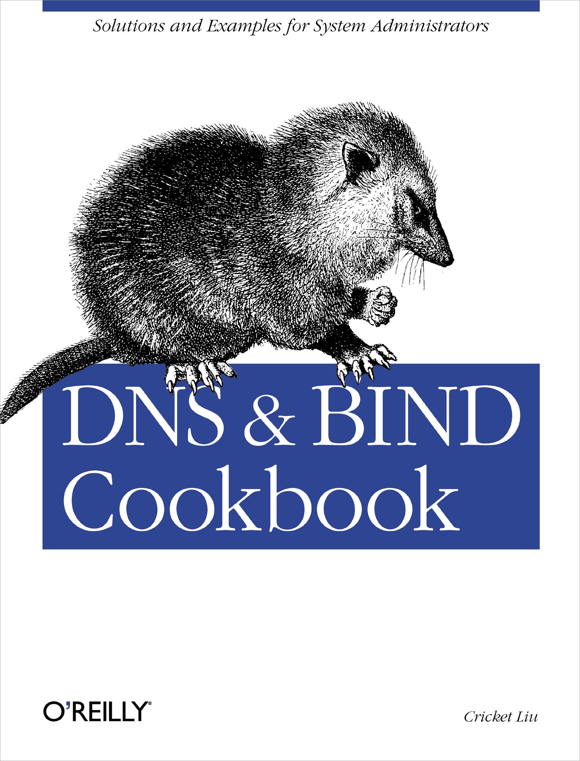 DNS & BIND Cookbook: Solutions & Examples for System Administrators,Used