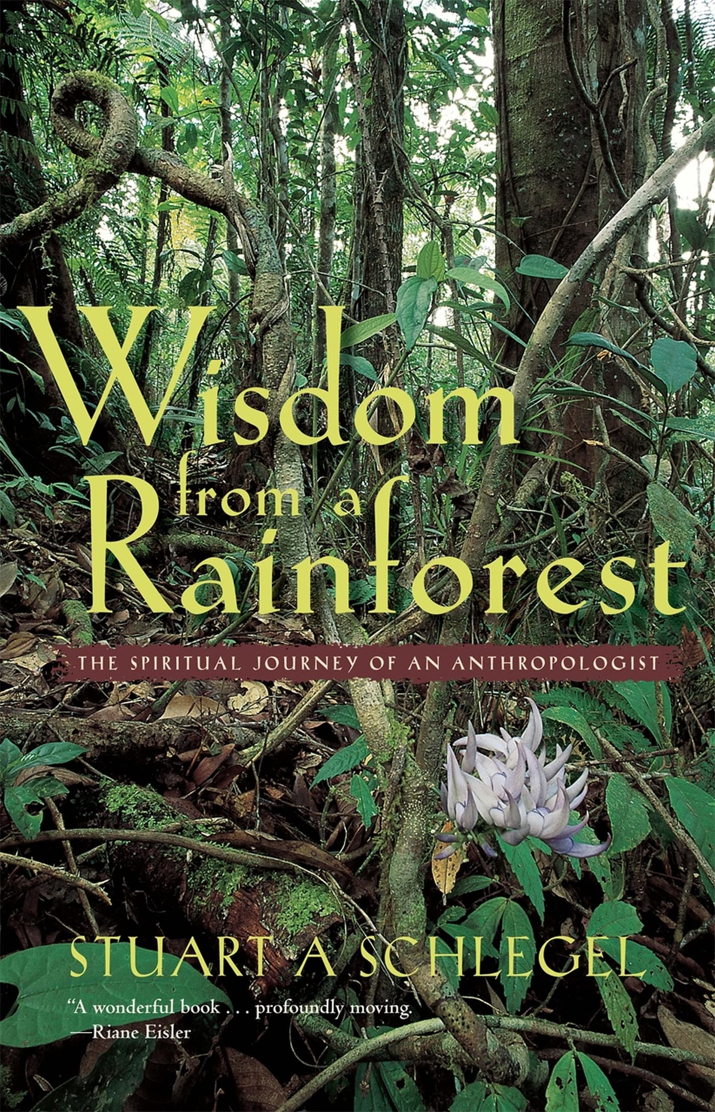 Wisdom from a Rainforest: The Spiritual Journey of an Anthropologist,Used