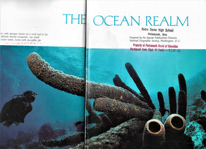 The Ocean Realm (Special Publications Series 13, No. 1),Used