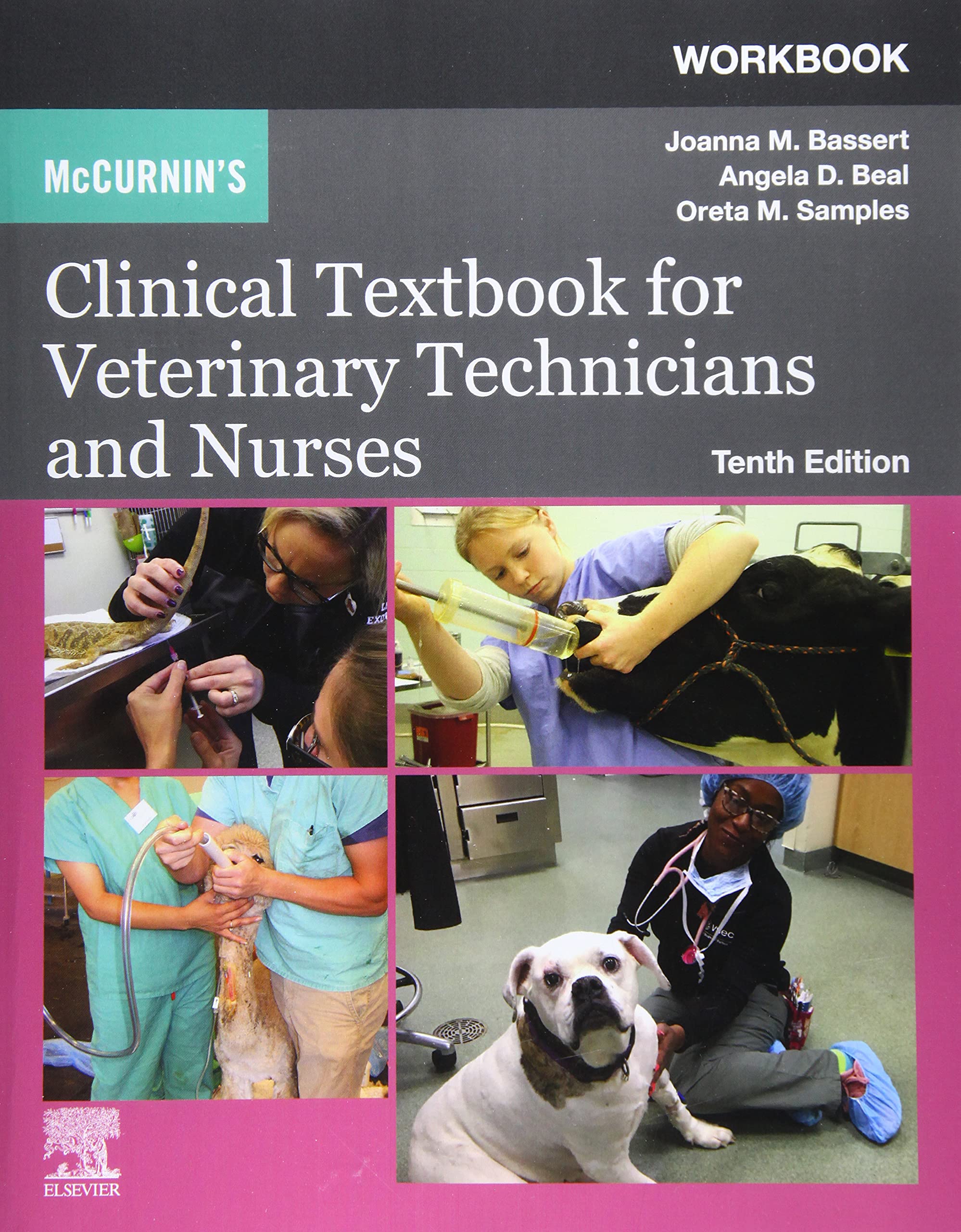Workbook for McCurnin's Clinical Textbook for Veterinary Technicians and Nurses,New