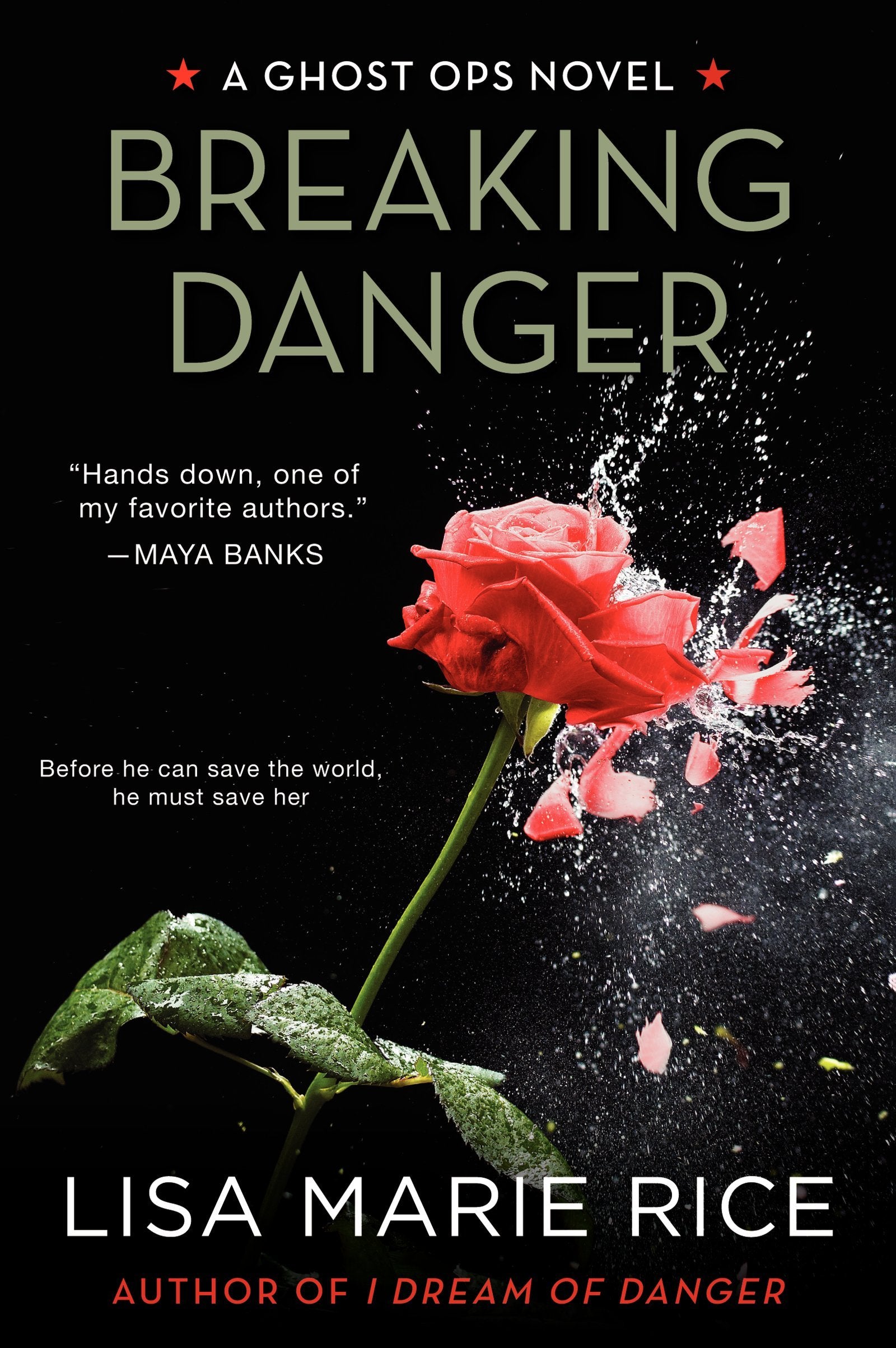 Breaking Danger: A Ghost Ops Novel (Ghost Ops Novels, 3),Used