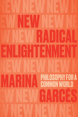 New Radical Enlightenment: Philosophy for a Common World,New