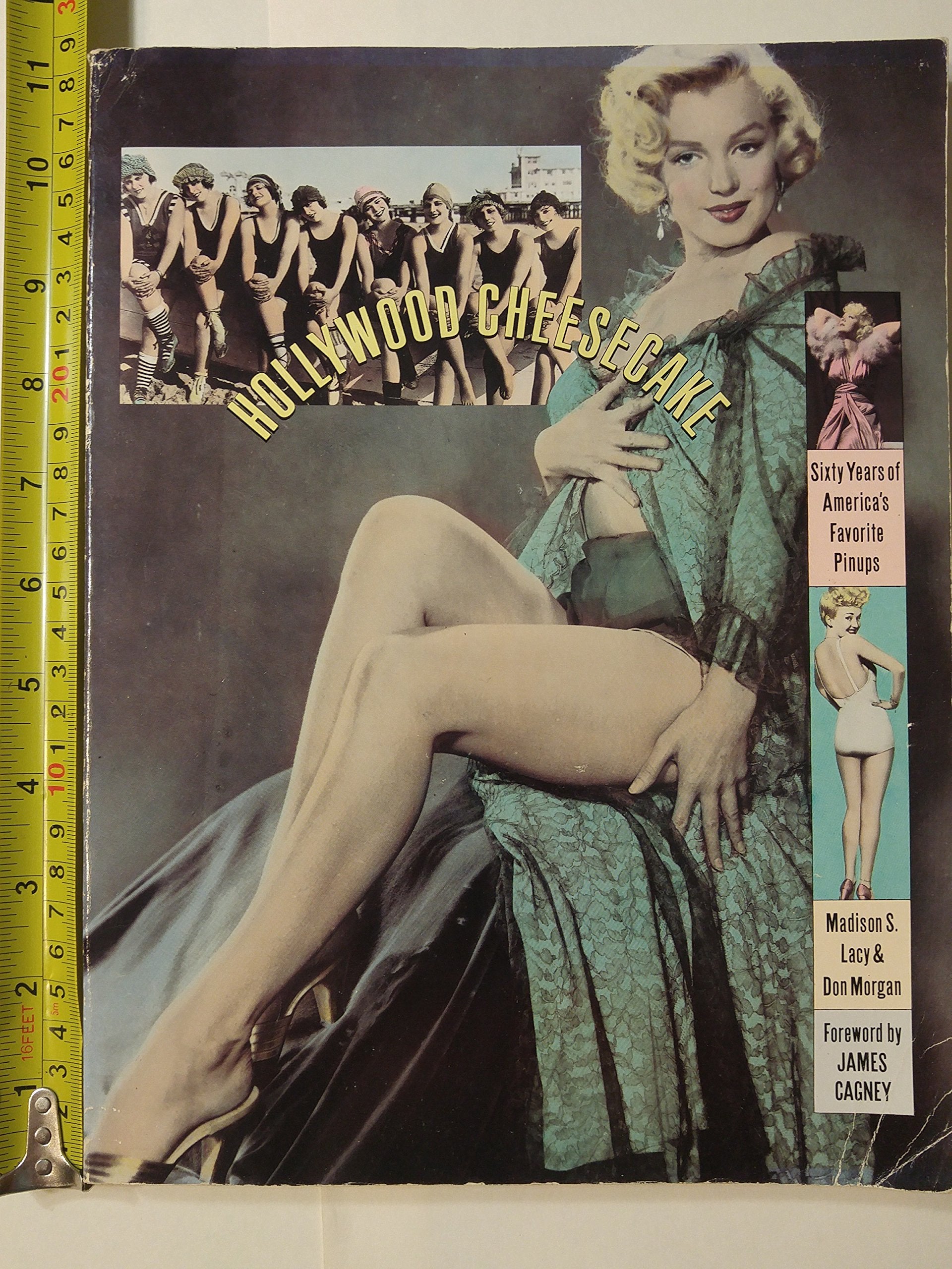 Hollywood Cheesecake: Sixty Years of America's Favorite Pinups,Used