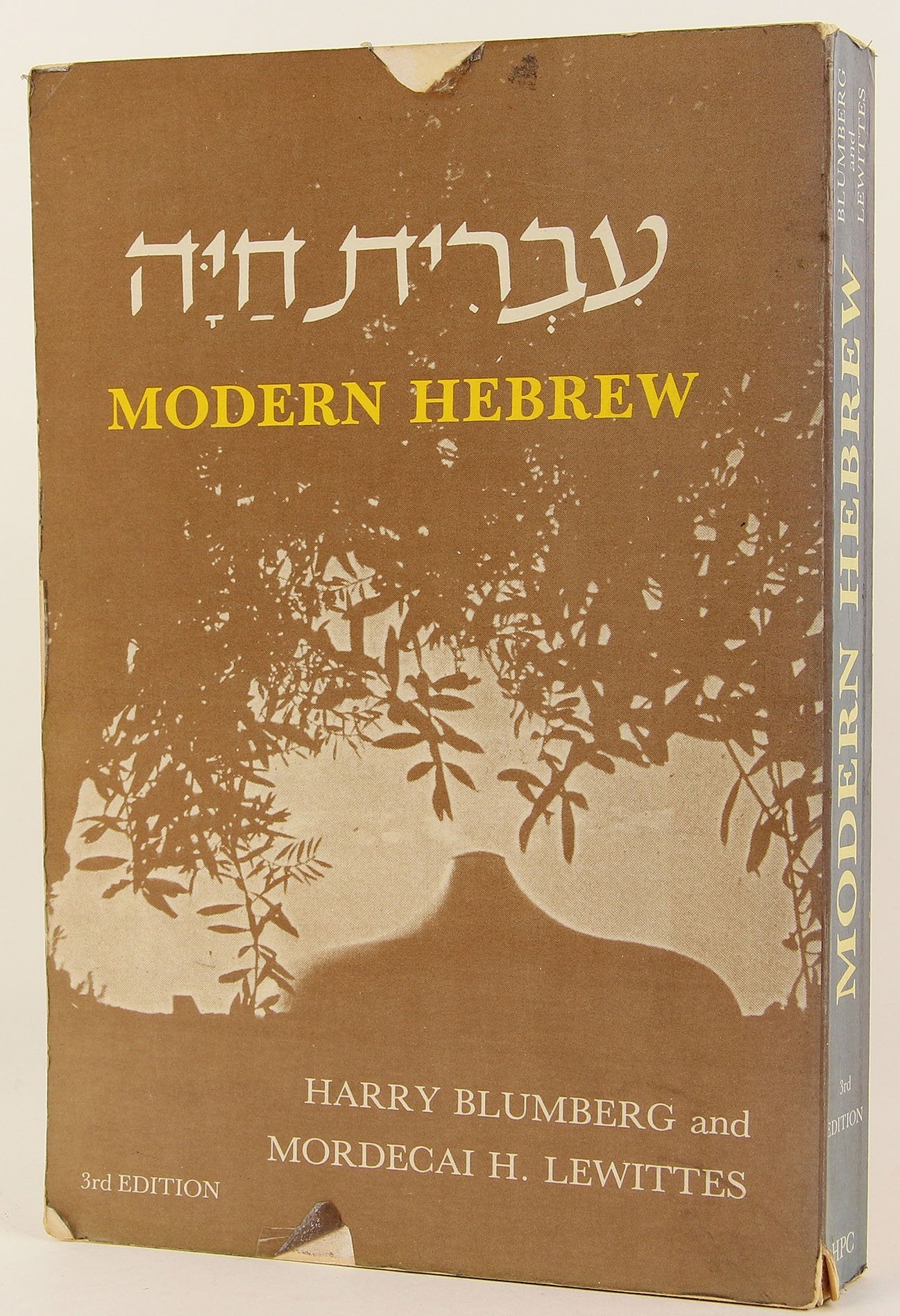 Modern Hebrew: A FirstYear Course in Converstion, Reading, and Grammar,Used