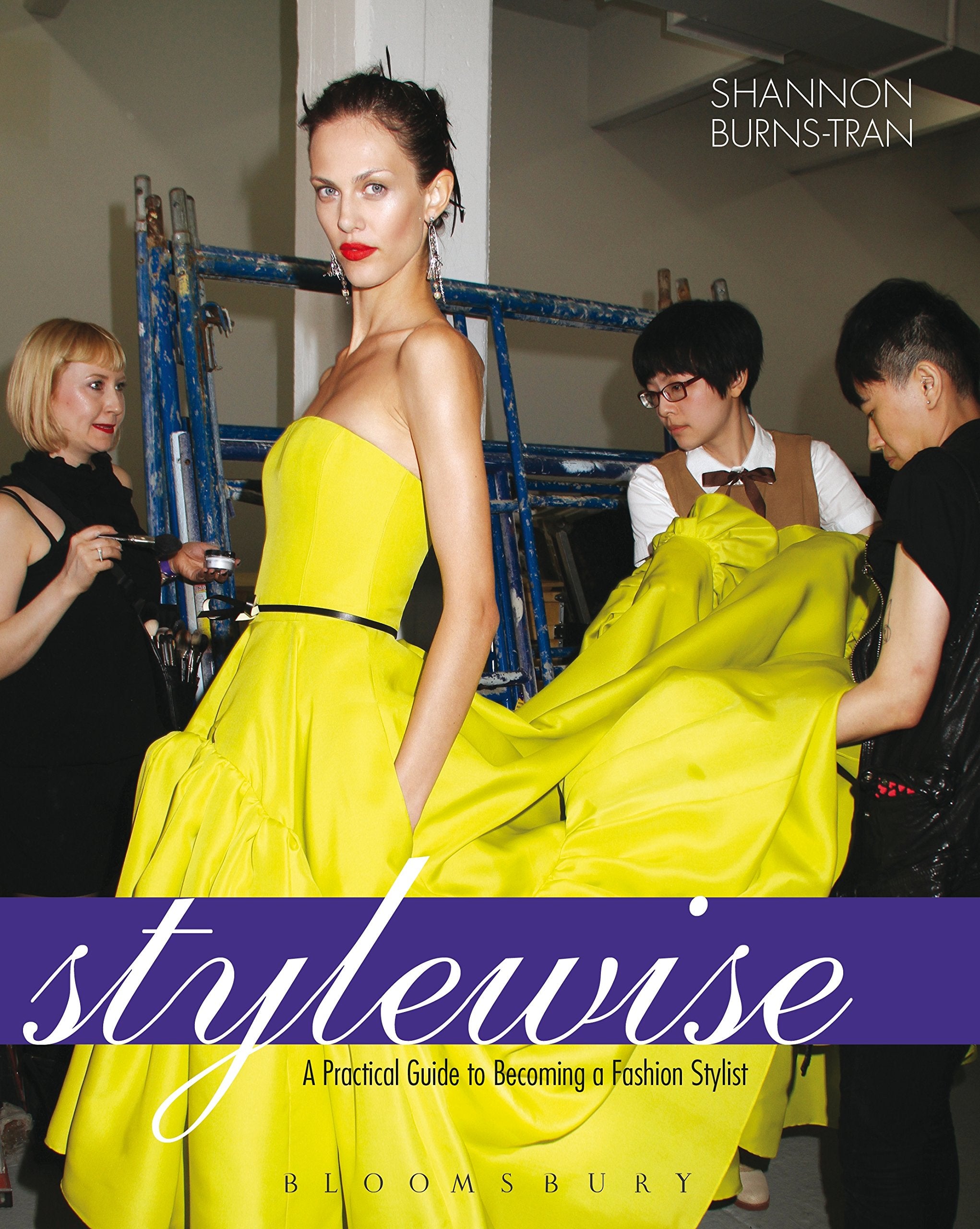 Stylewise: A Practical Guide to Becoming a Fashion Stylist,Used