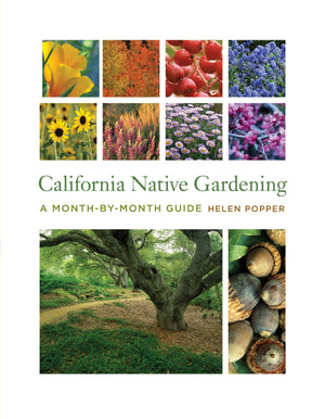 California Native Gardening: A MonthbyMonth Guide