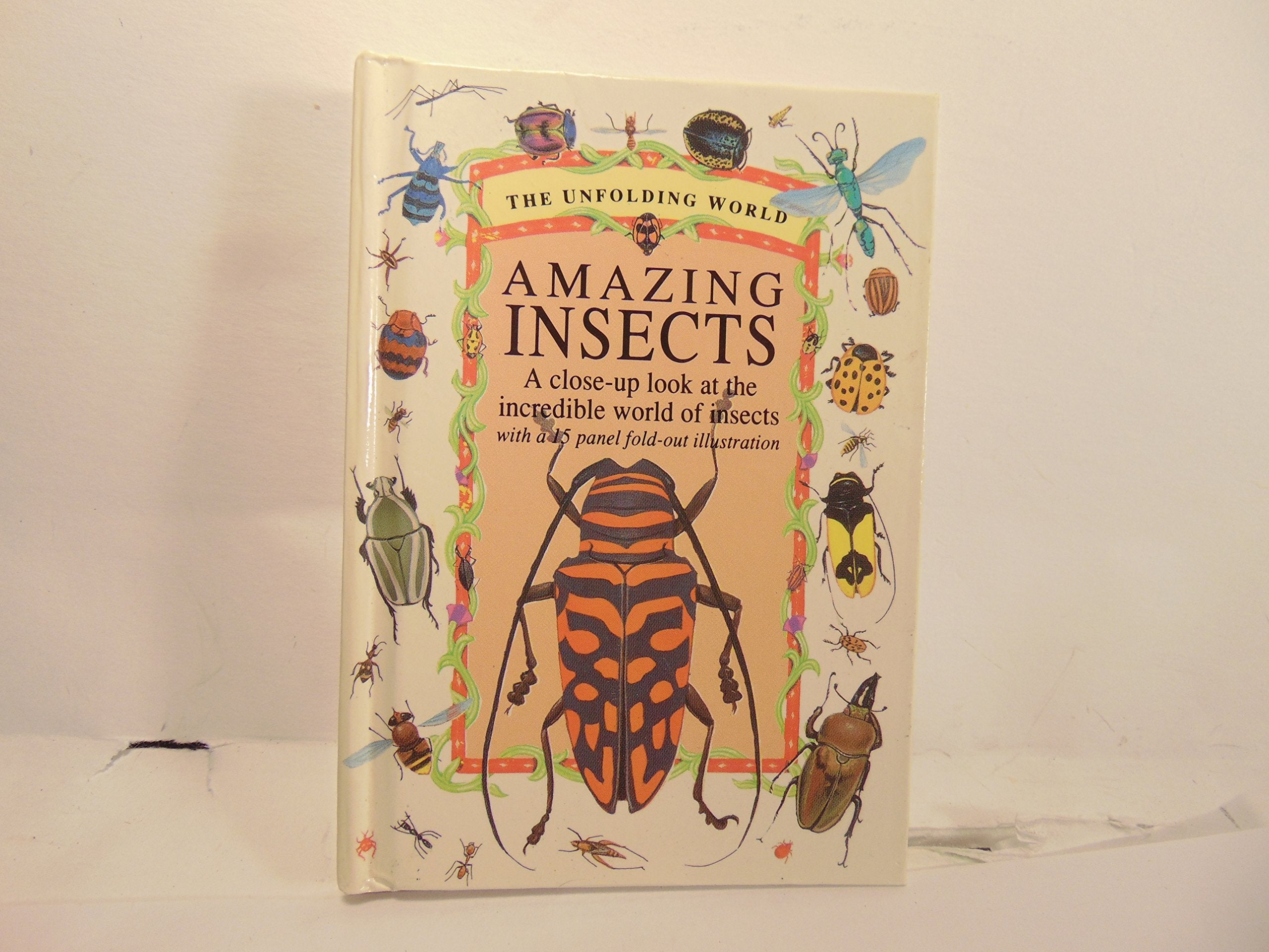 Amazing Insects: A CloseUp Look at the Incredible World of Insects (The Unfolding World),Used