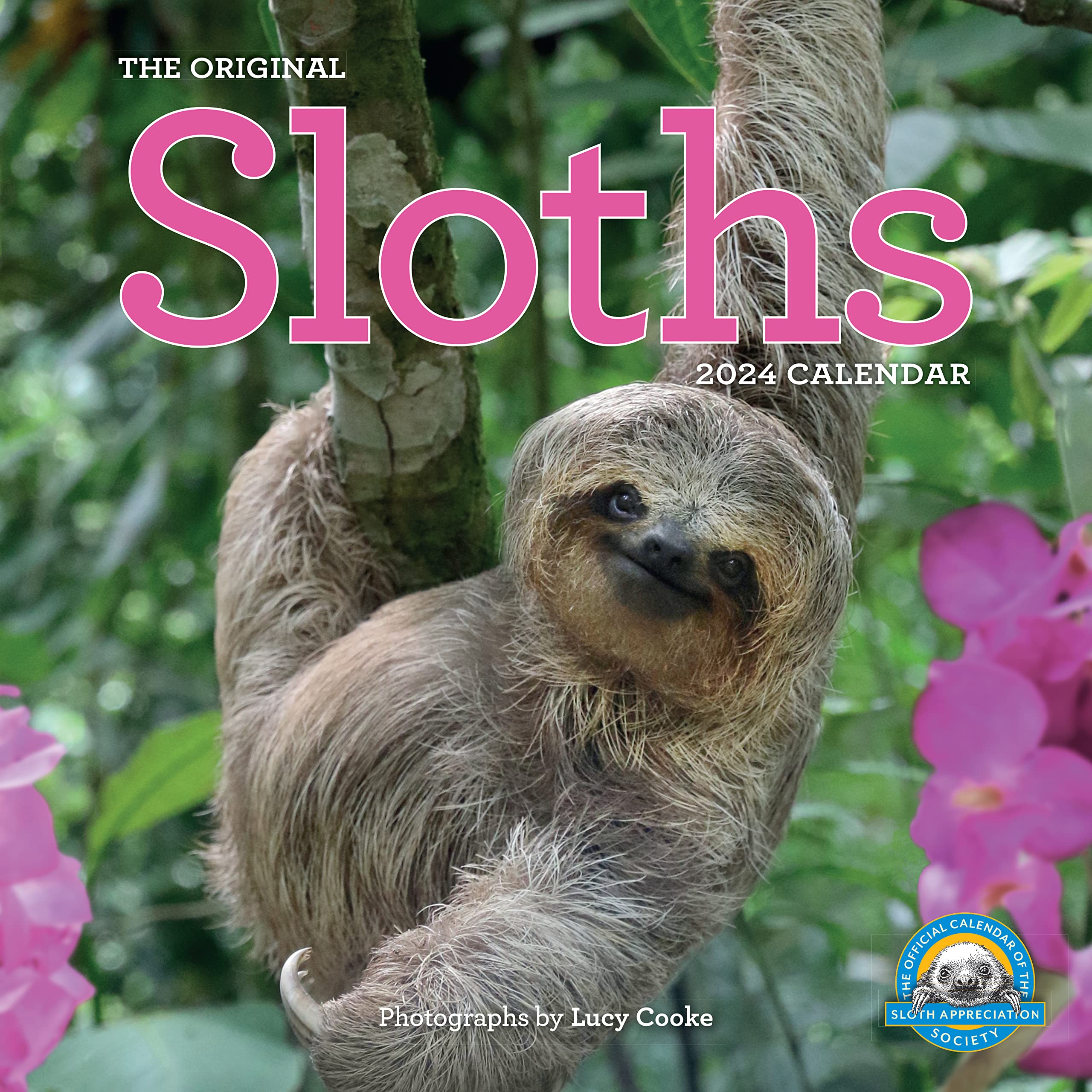 Original Sloths Wall Calendar 2024: The Ultimate Experts At Slowing Down