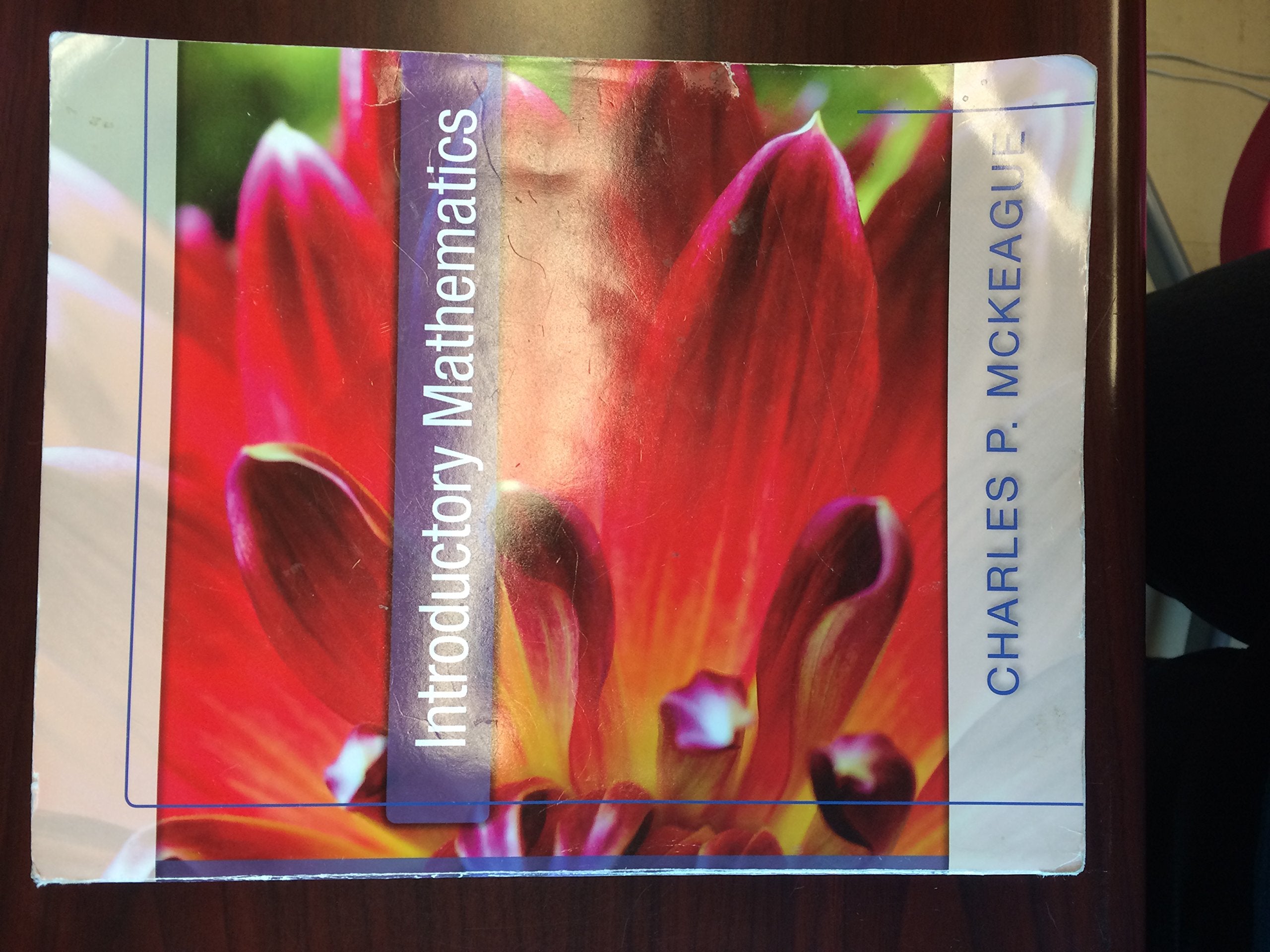 Introductory Mathematics [Paperback],Used