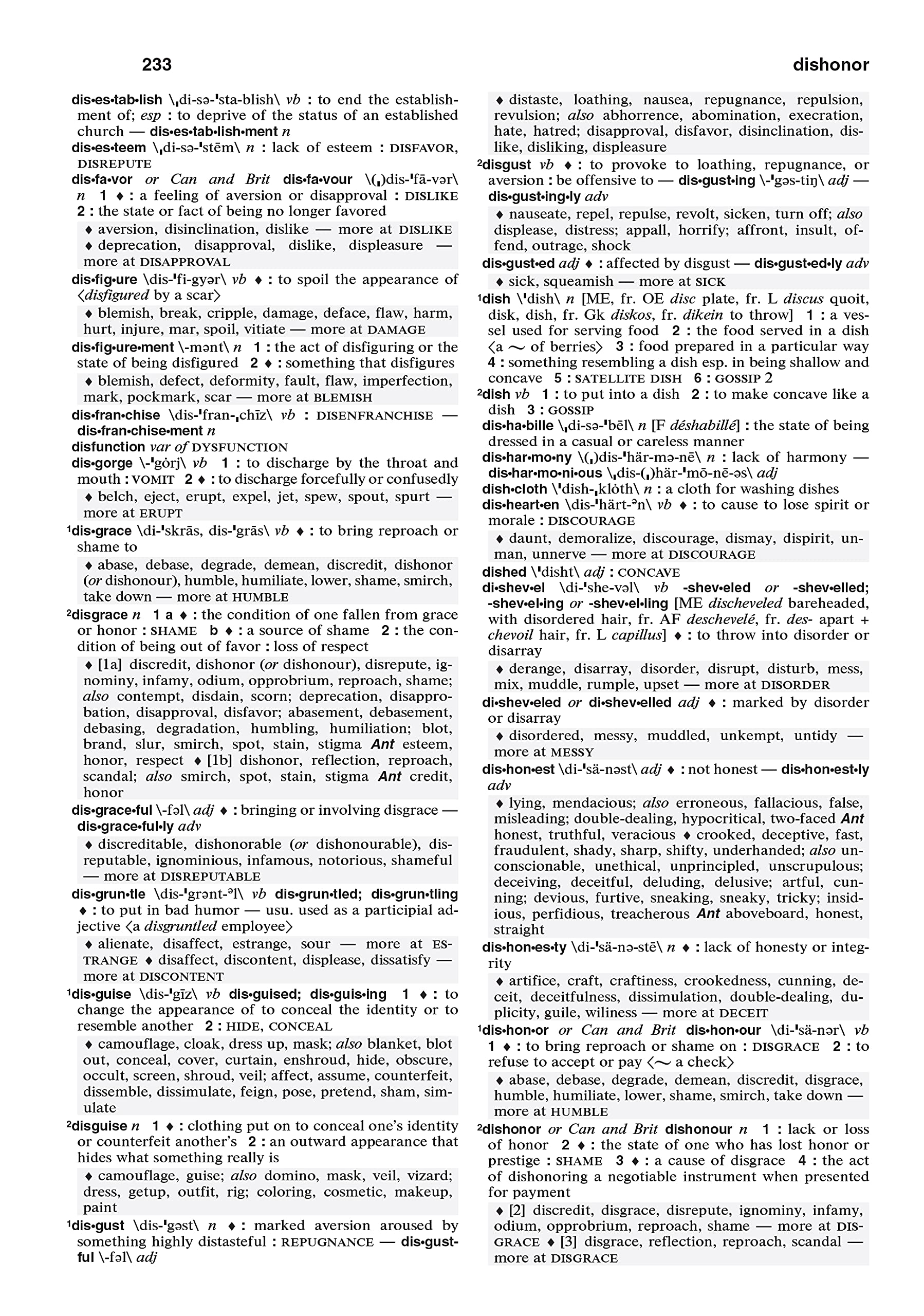 Merriam-Webster's Dictionary and Thesaurus, Trade Paperback, Newest Edition, White Cover