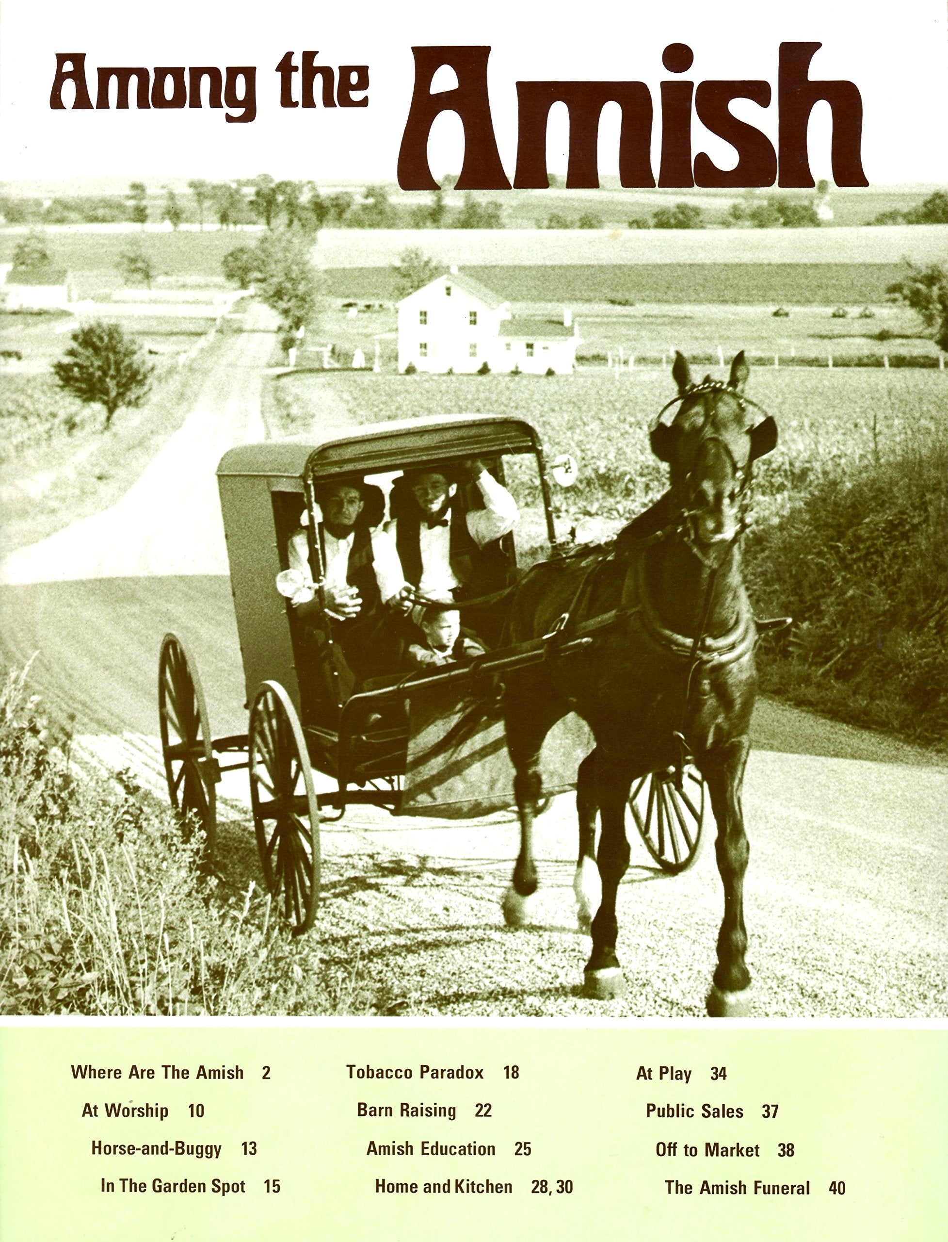 Among The Amish,New