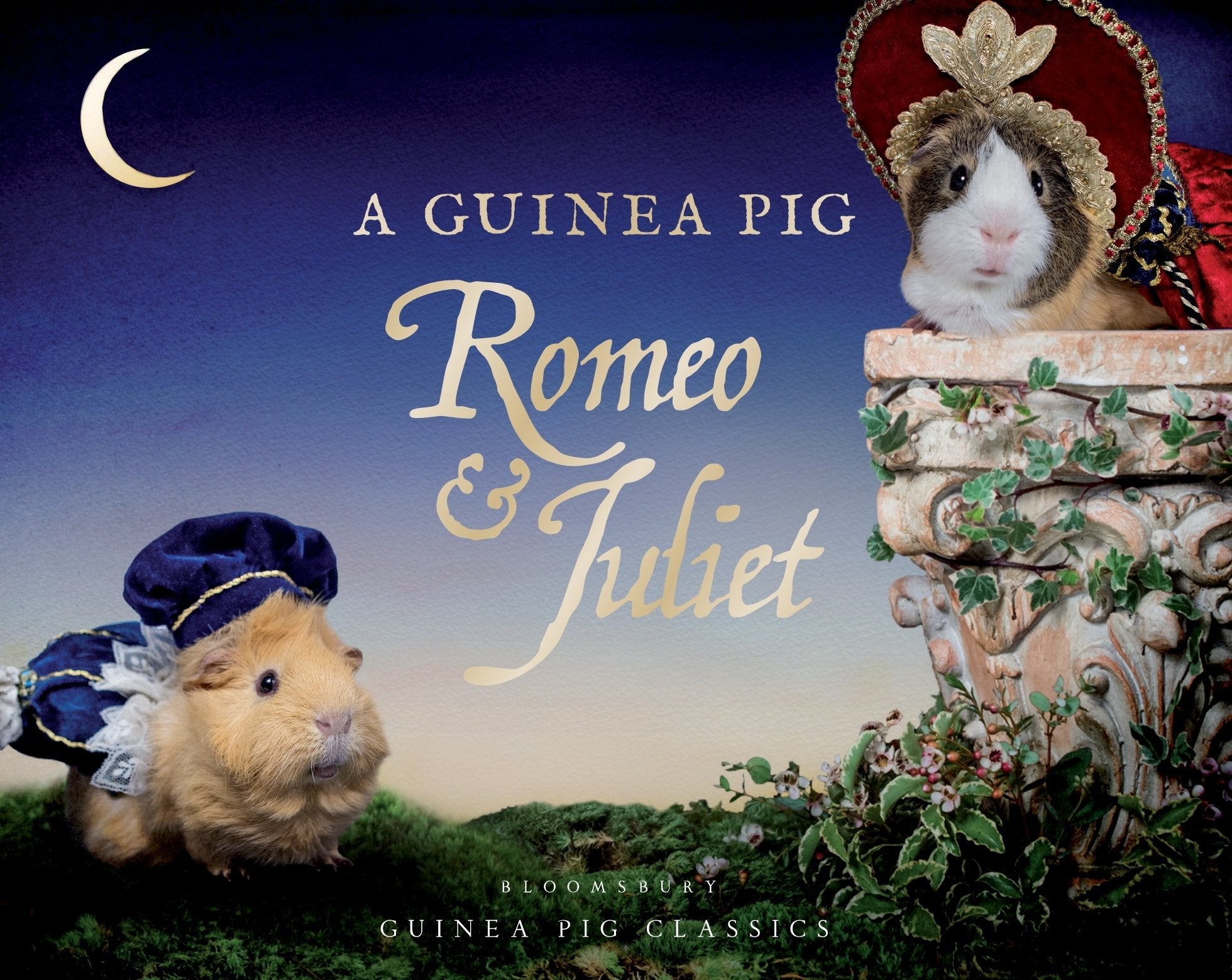 A Guinea Pig Romeo & Juliet (Guinea Pig Classics),Used