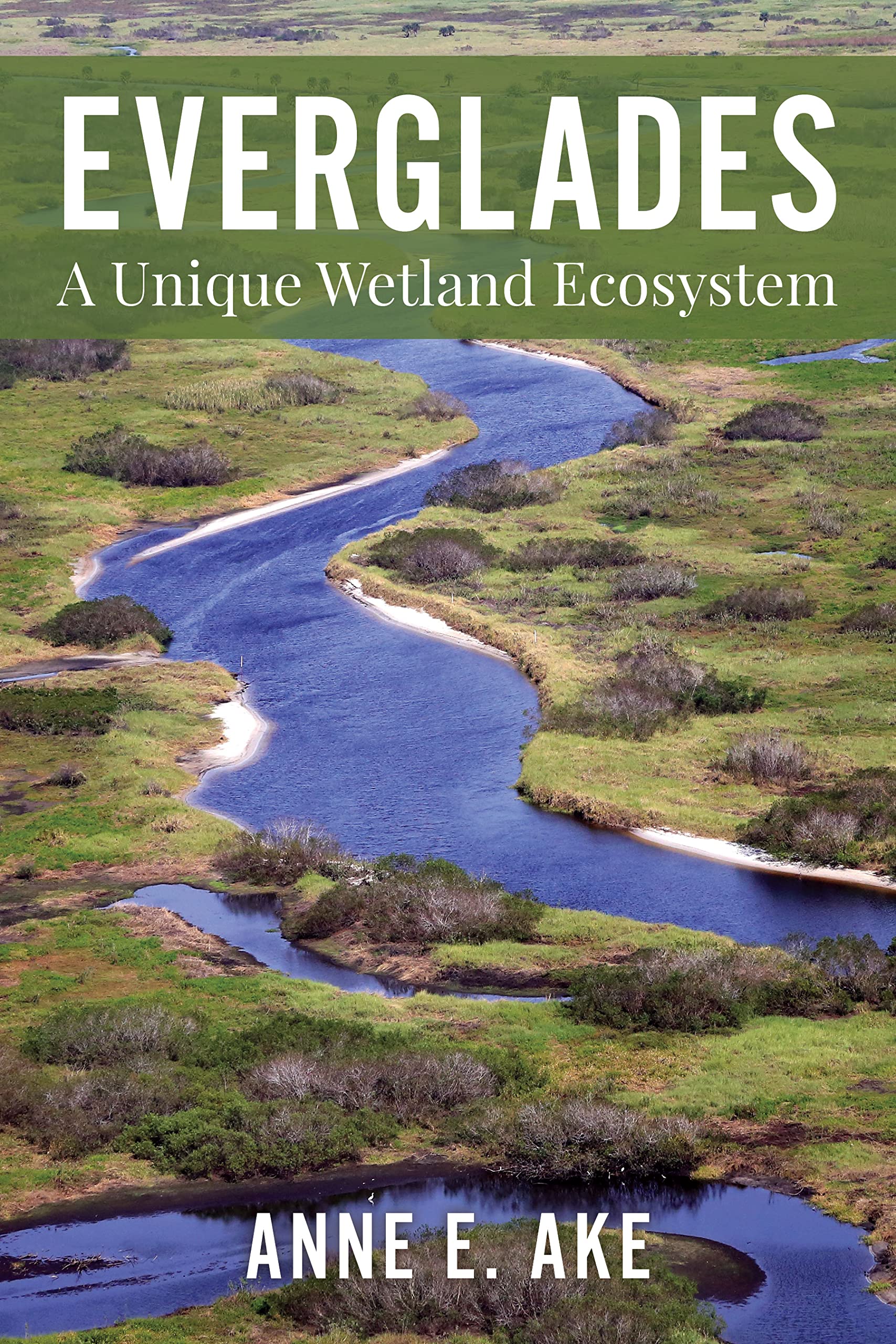 Everglades: Exploring A Wetland Like No Other,New