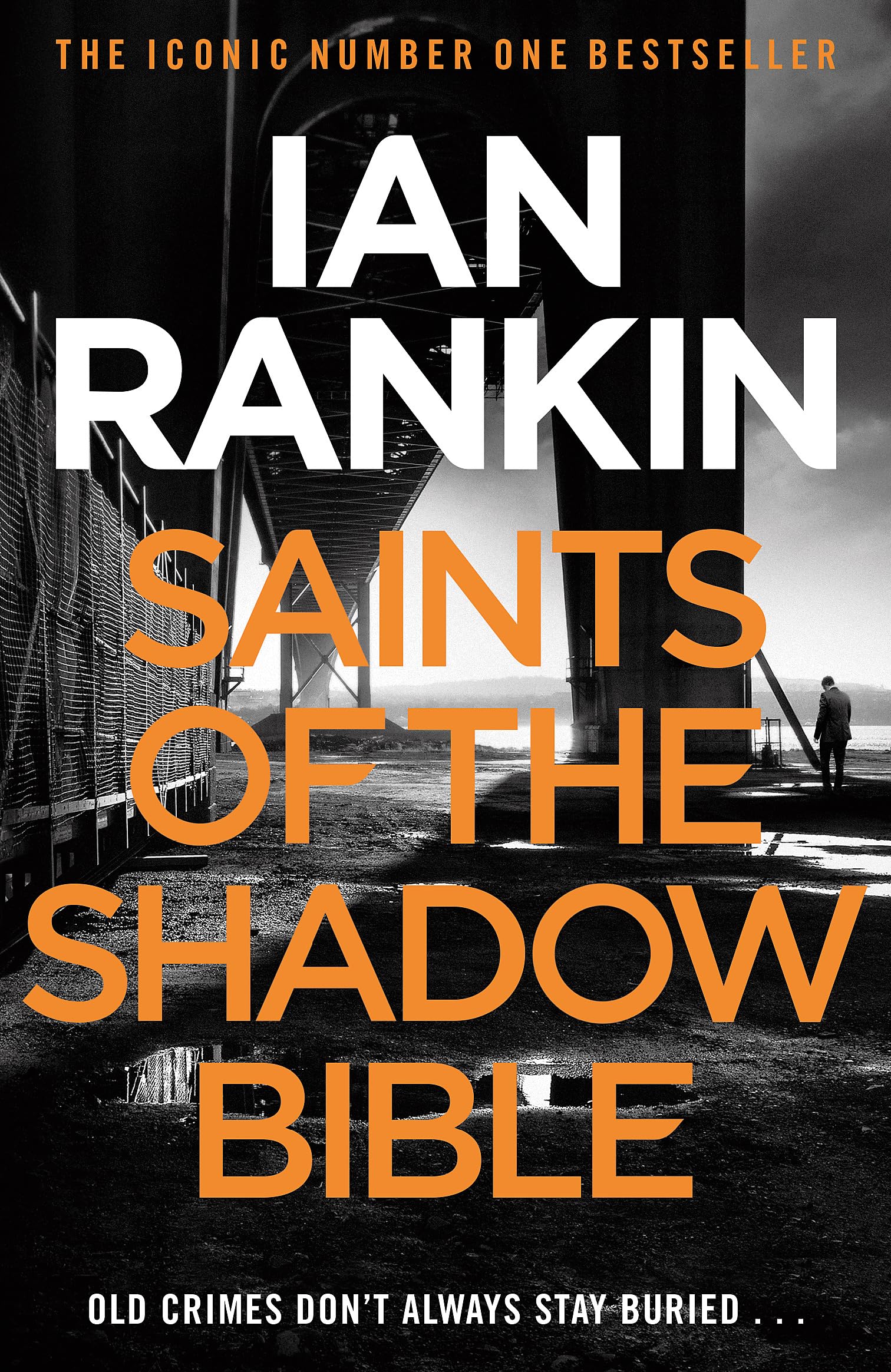 Saints of the Shadow Bible,New