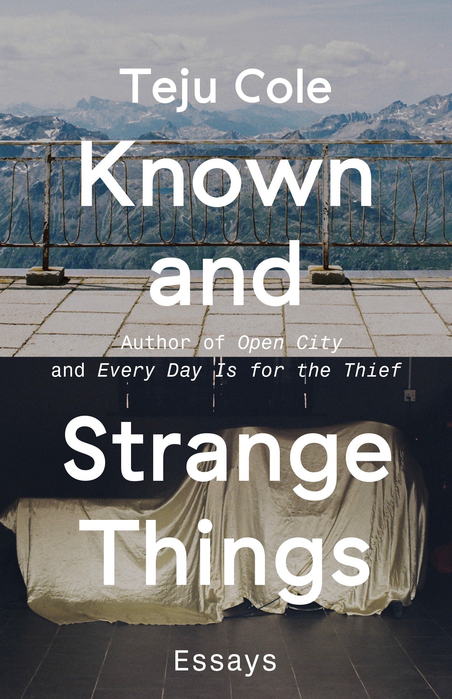 Known and Strange Things: Essays,New