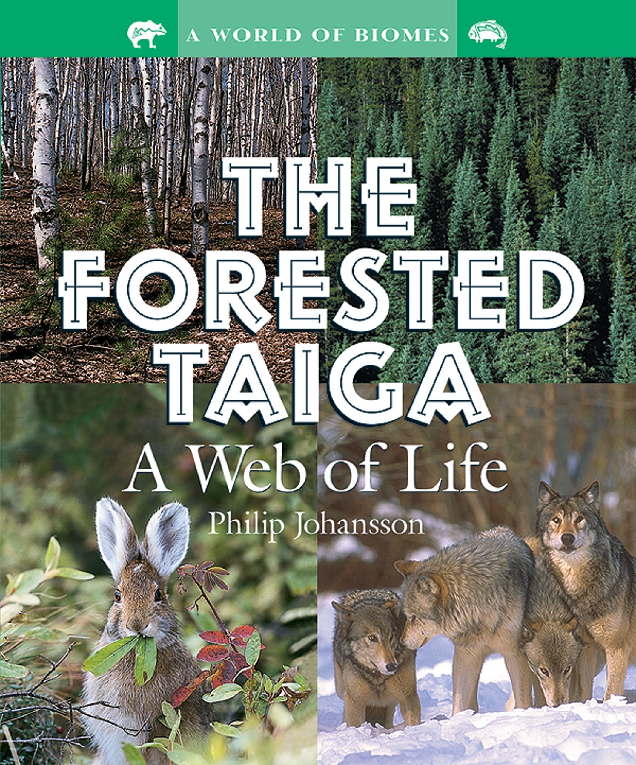 The Forested Taiga: A Web of Life (World of Biomes),Used
