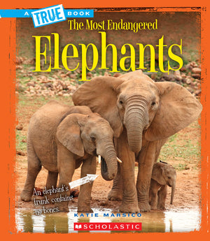 Elephants (A True Book: The Most Endangered) (Library Edition),Used