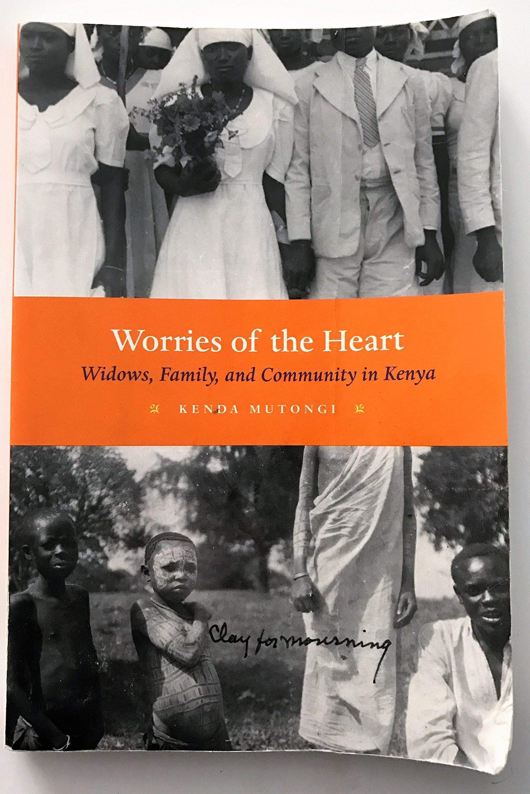 Worries of the Heart: Widows, Family, and Community in Kenya,Used