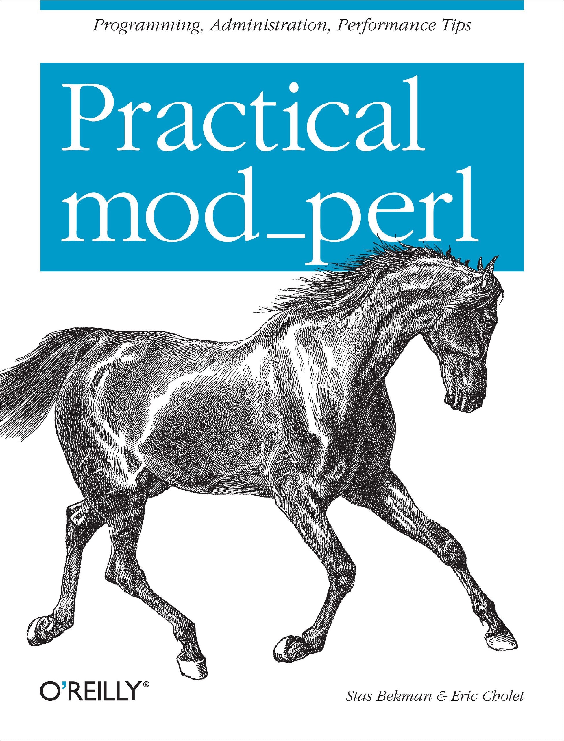 Practical mod_perl: Programming, Administration, Performance Tips,Used