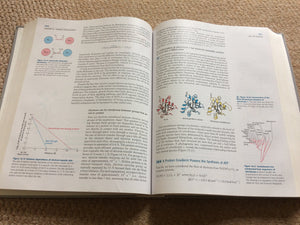 Biochemistry. Jeremy M. Berg, John L. Tymoczko, Lubert Stryer