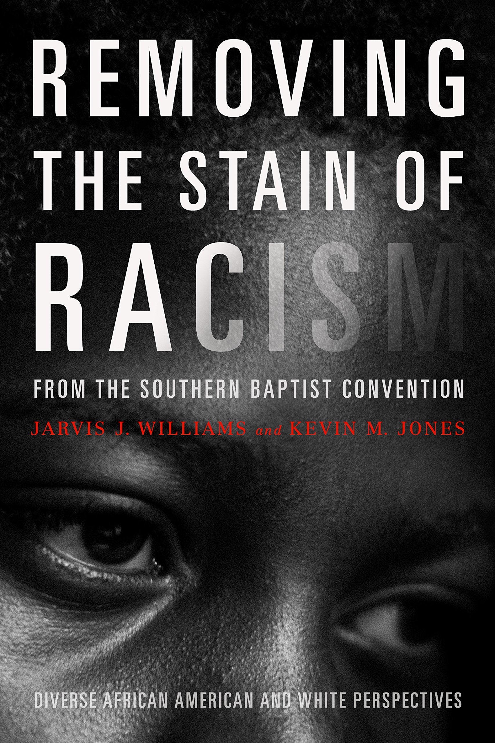 Removing the Stain of Racism from the Southern Baptist Convention: Diverse African American and White Perspectives,New