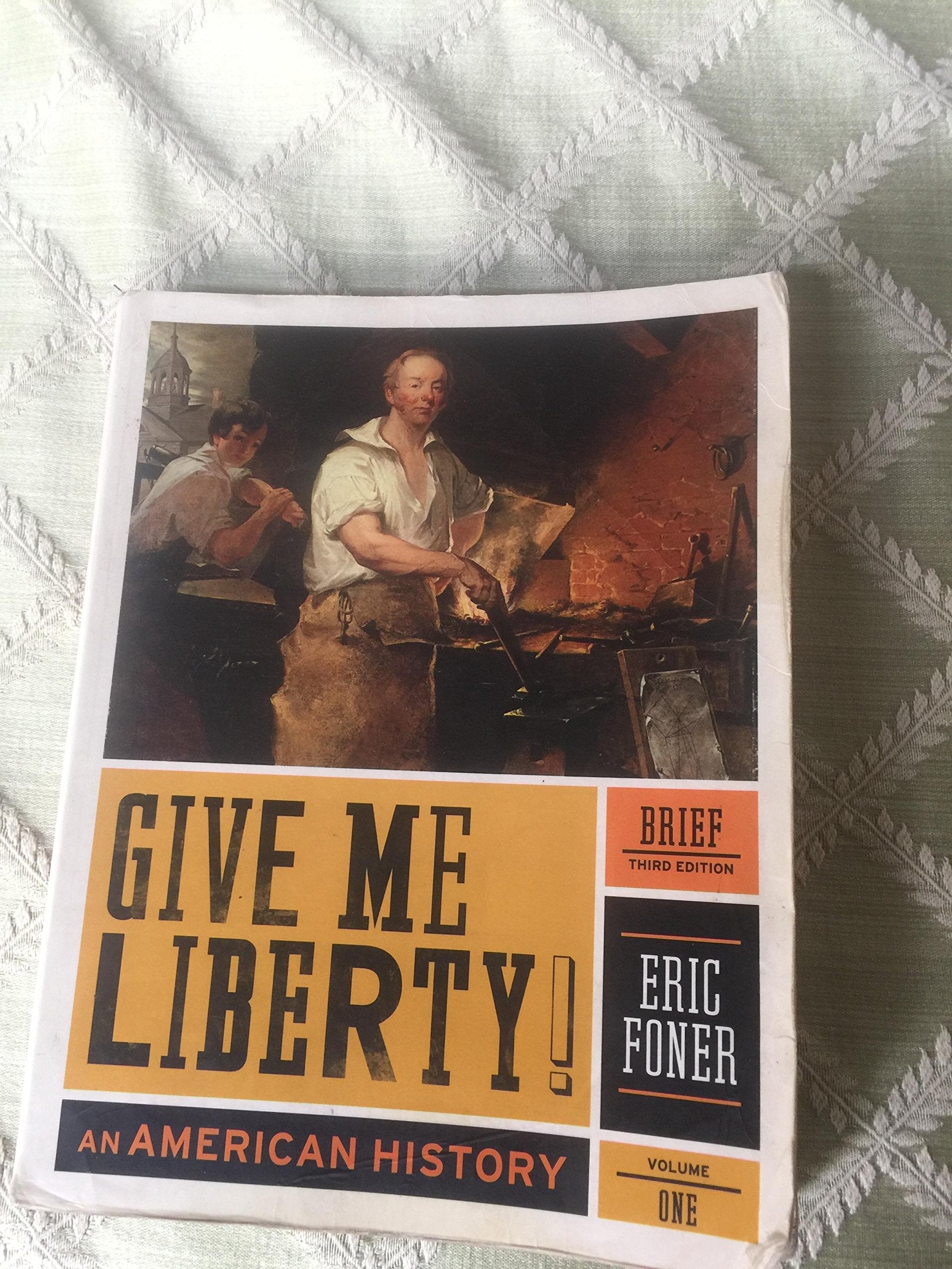 Give Me Liberty!: An American History (Brief Third Edition) (Vol. 1),Used