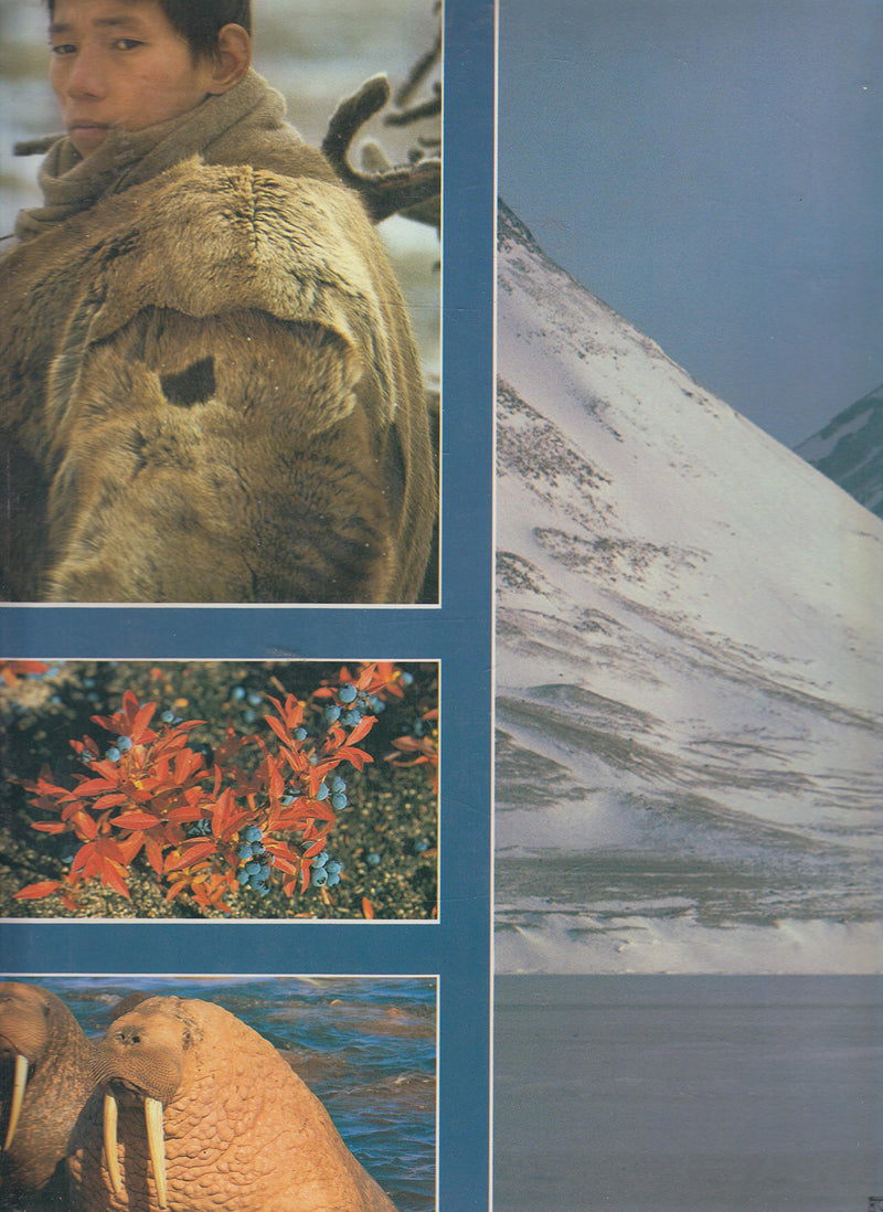 The Arctic World,Used