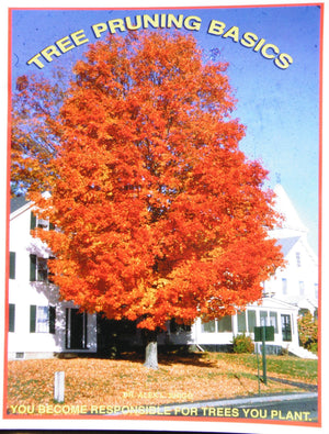 Tree Pruning Basics-used