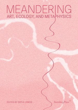 Meandering: Art, Ecology, and Metaphysics,New
