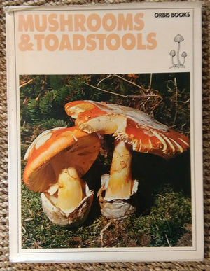Mushrooms & toadstools: how to find and identify them,Used