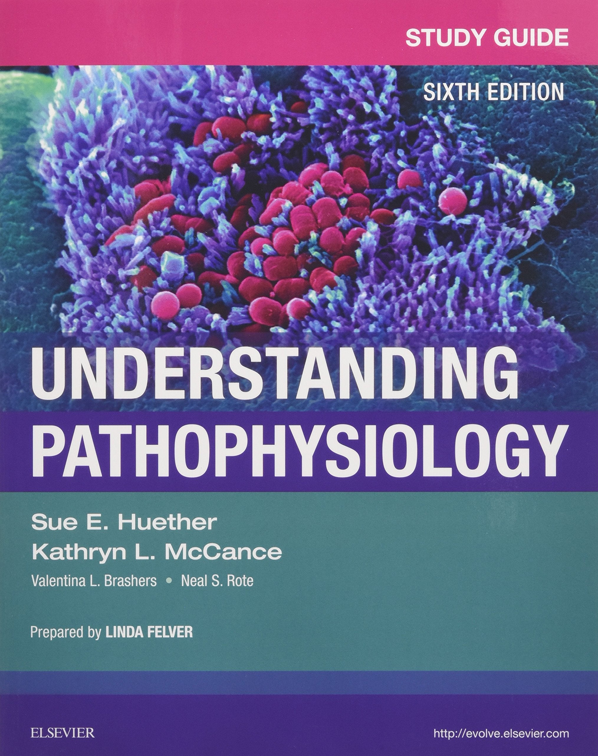Study Guide for Understanding Pathophysiology,Used