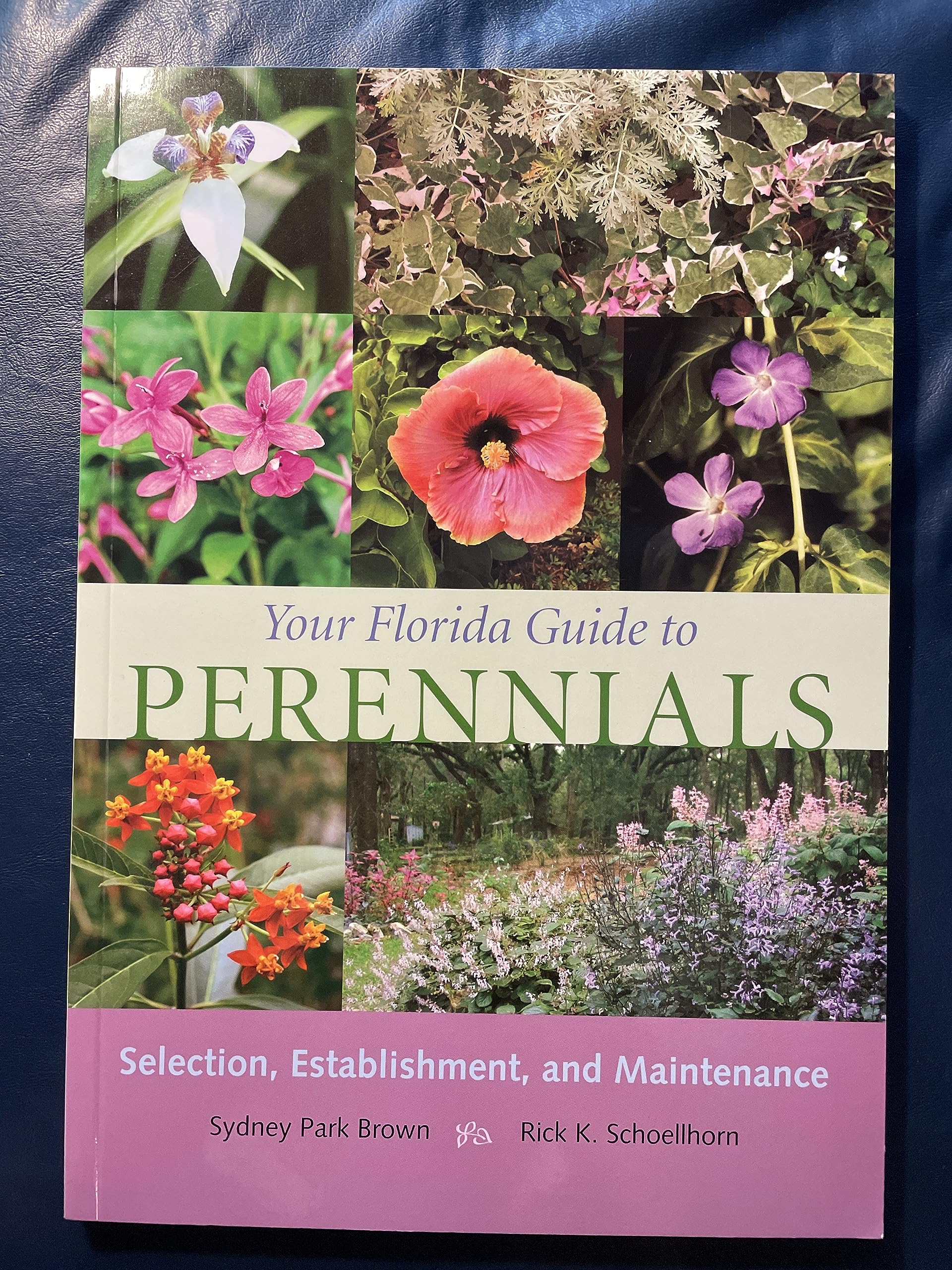 Your Florida Guide To Perennials: Selection, Establishment, And Maintenance,Used