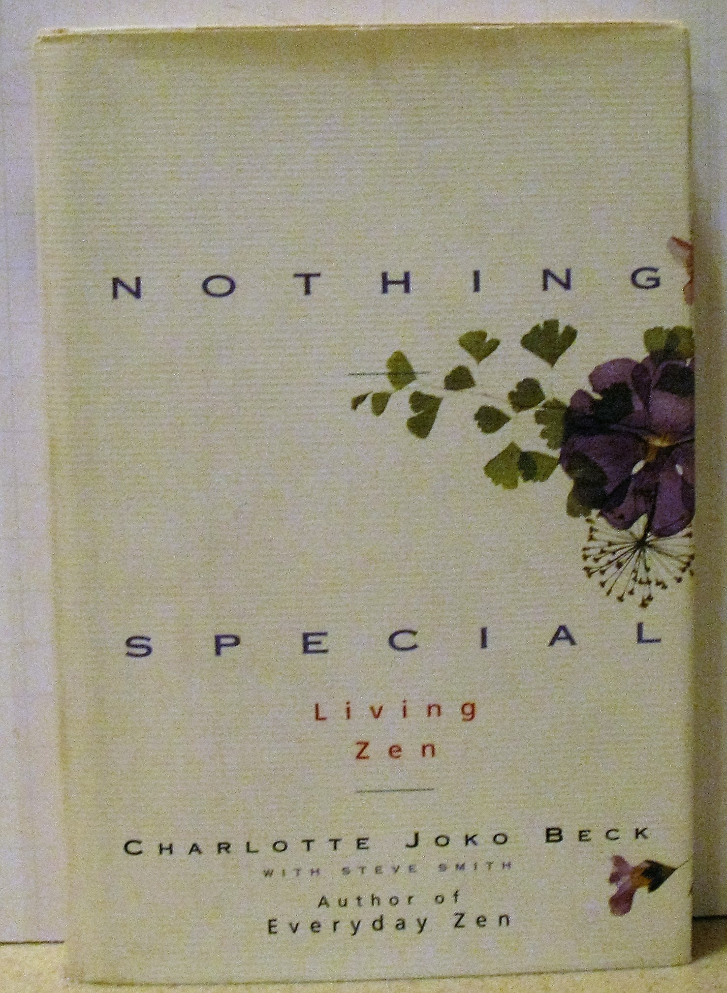 Nothing Special: Living Zen,New