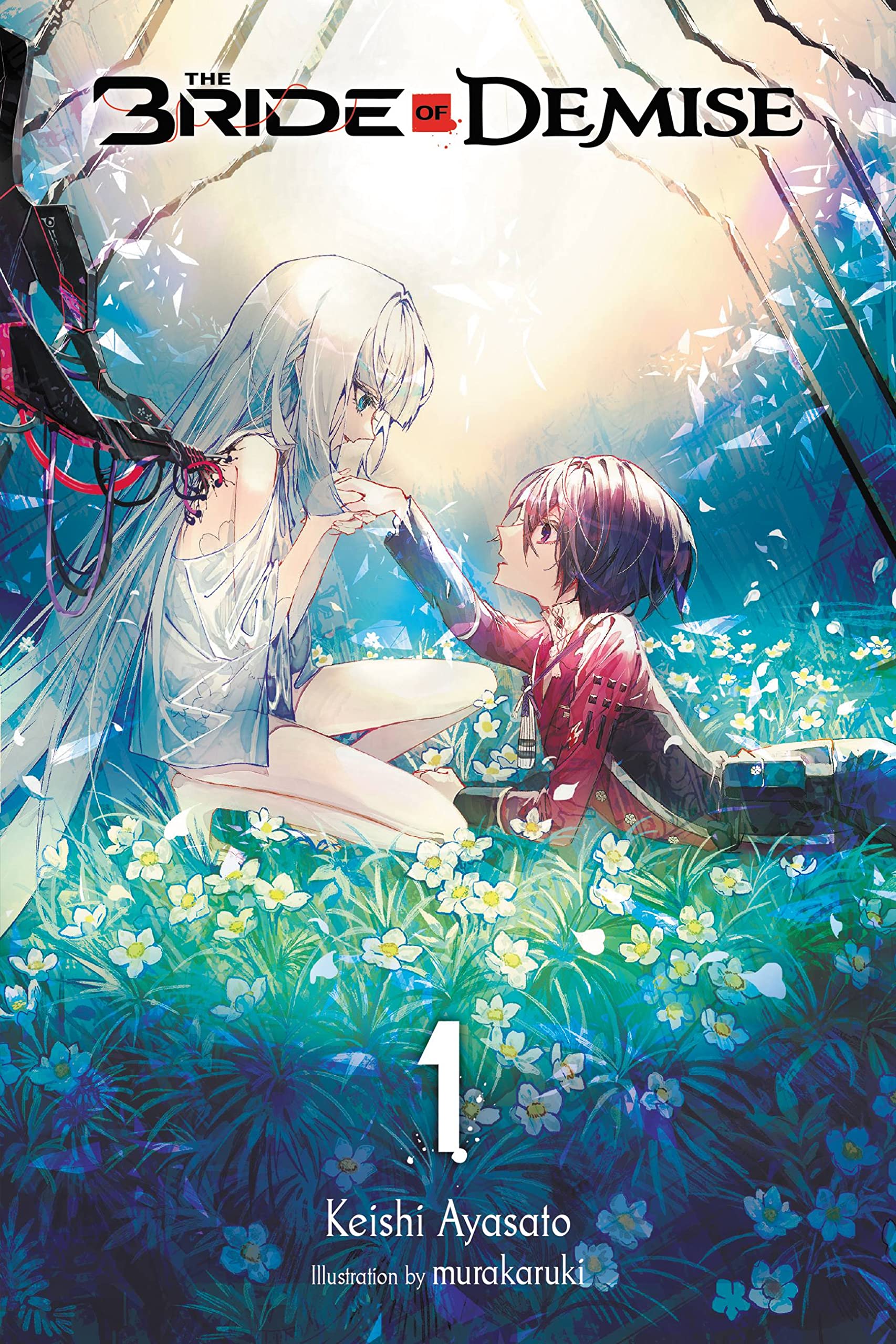 The Bride Of Demise, Vol. 1 (The Bride Of Demise, 1),Used