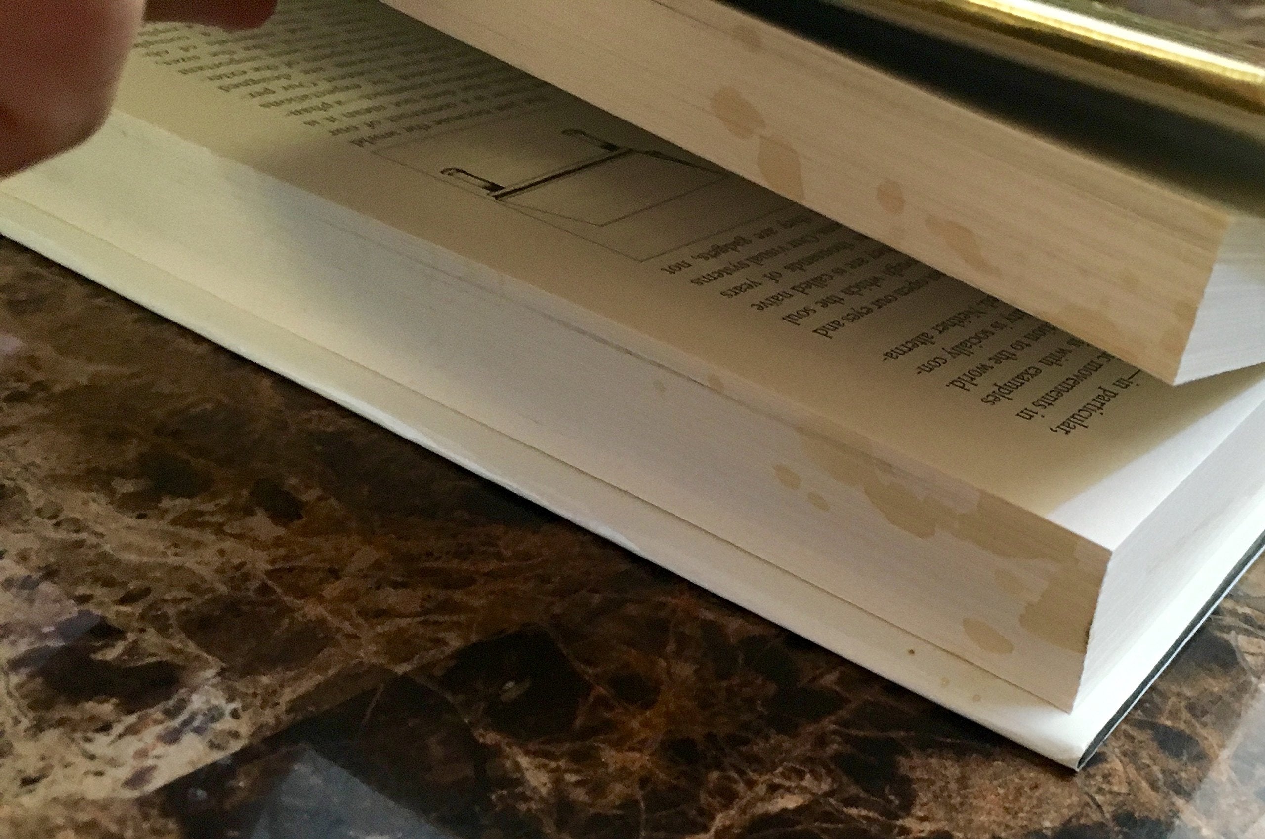 The Blank Slate: The Modern Denial of Human Nature,New