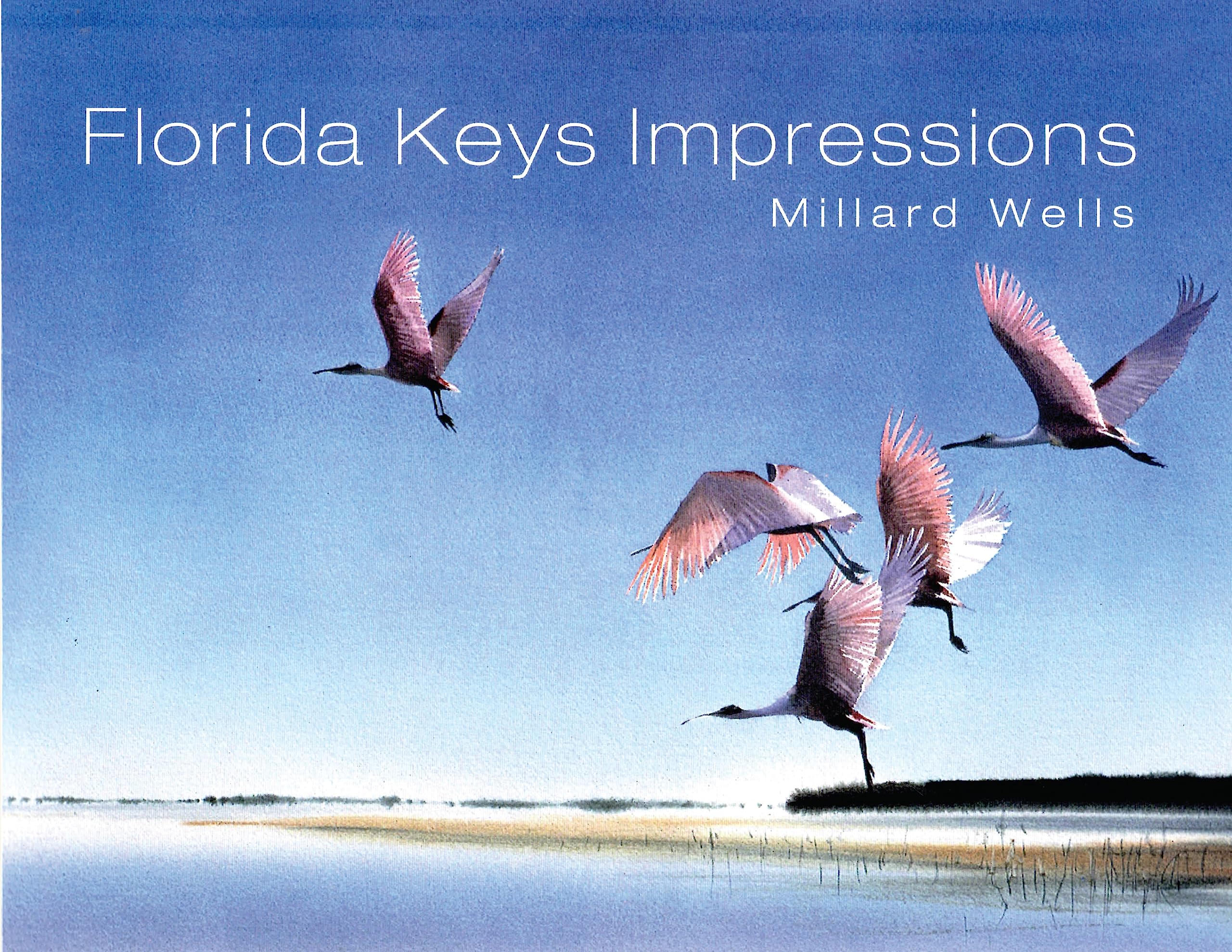 Florida Keys Impressions,Used