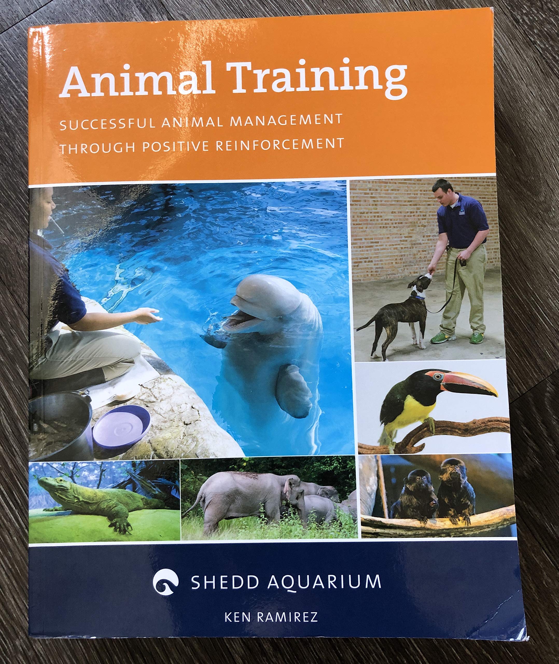 Animal Training: Successful Animal Management Through Positive Reinforcement,Used