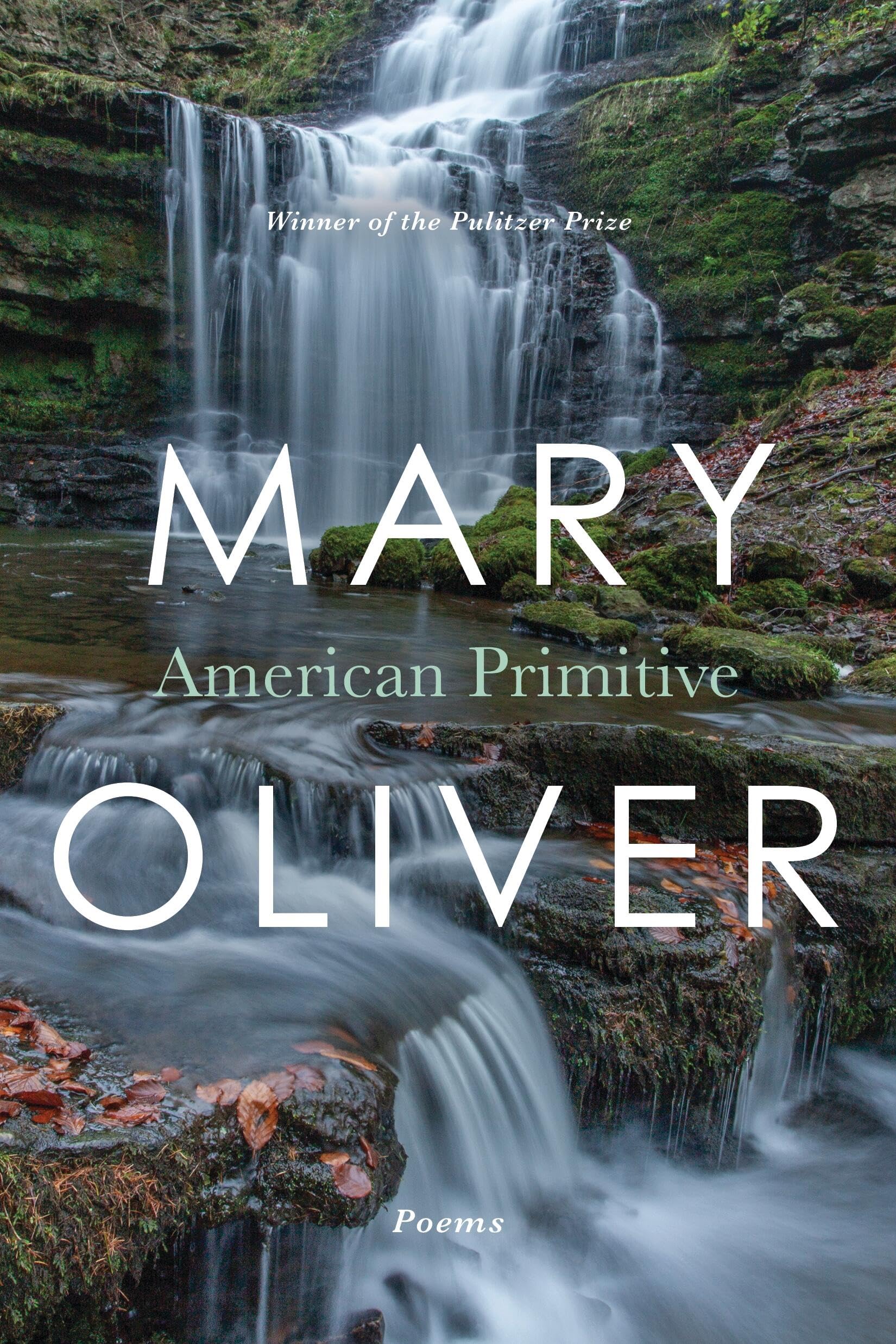 American Primitive,Used