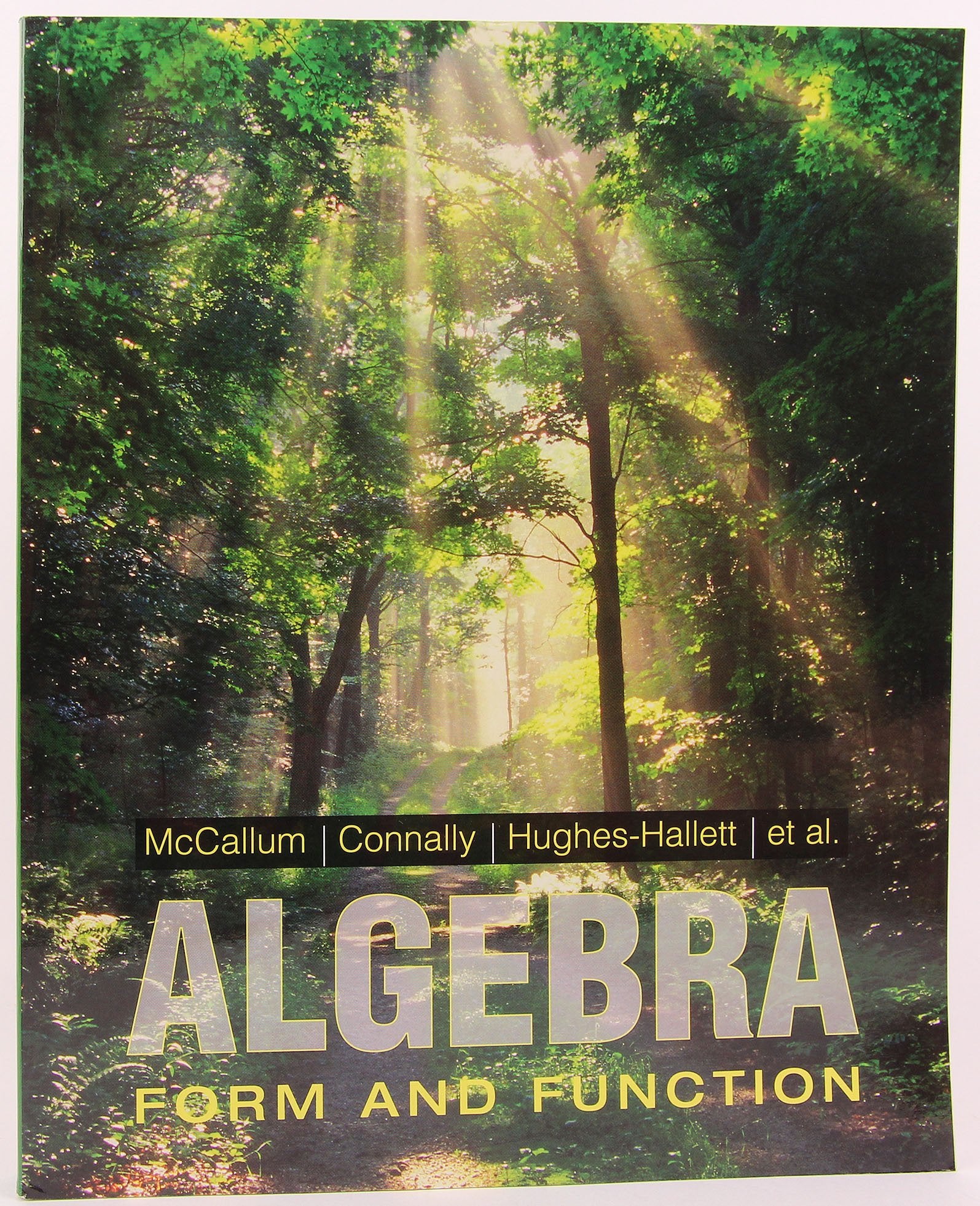 Algebra: Form And Function