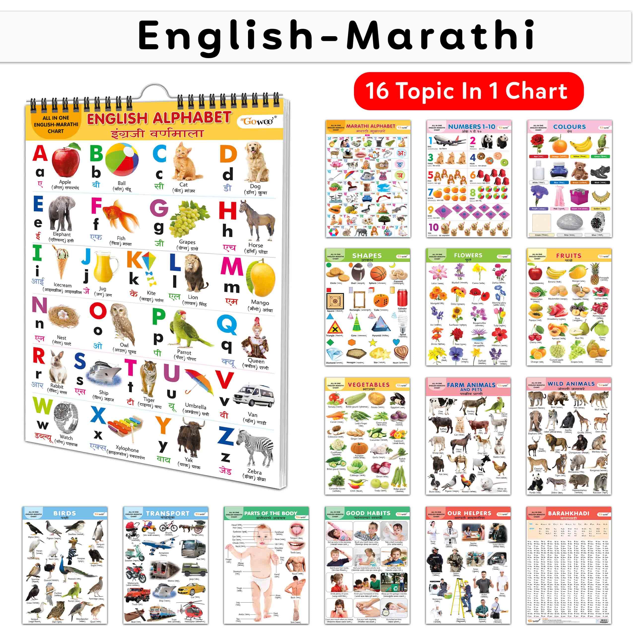 My First All In One Spiral Chart English-Marathi : Learning Chart Book For Kids, Educational Chart For Toddlers, Collection With 16 Topics, Birthday Gifts For Kids