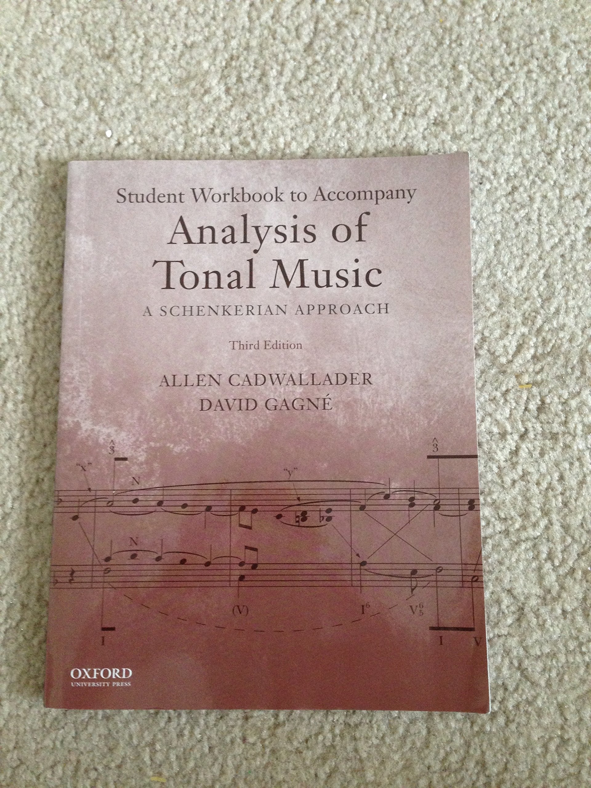 Analysis of Tonal Music: A Schenkerian Approach (Workbook),Used