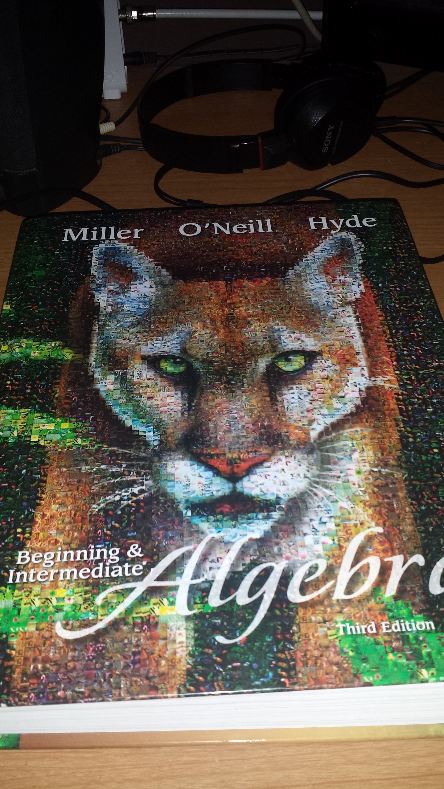 Beginning And Intermediate Algebra, 3Rd Edition,Used